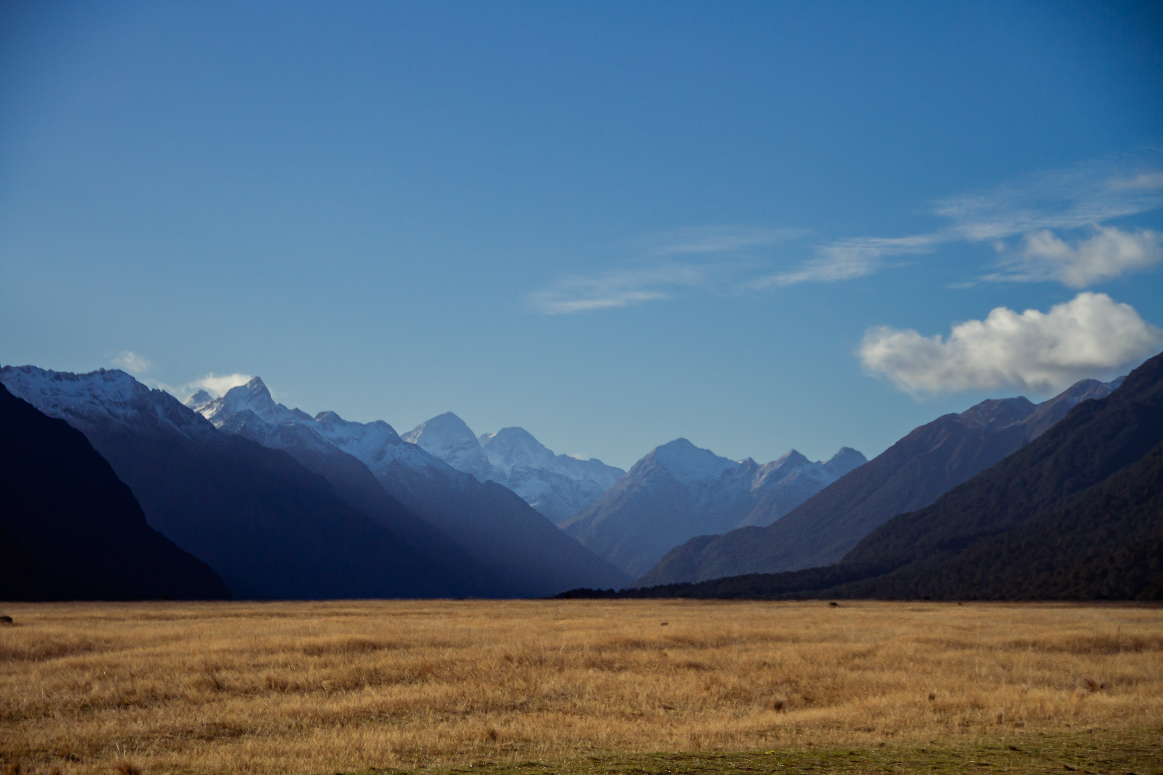Fiordland, NZ, 2024