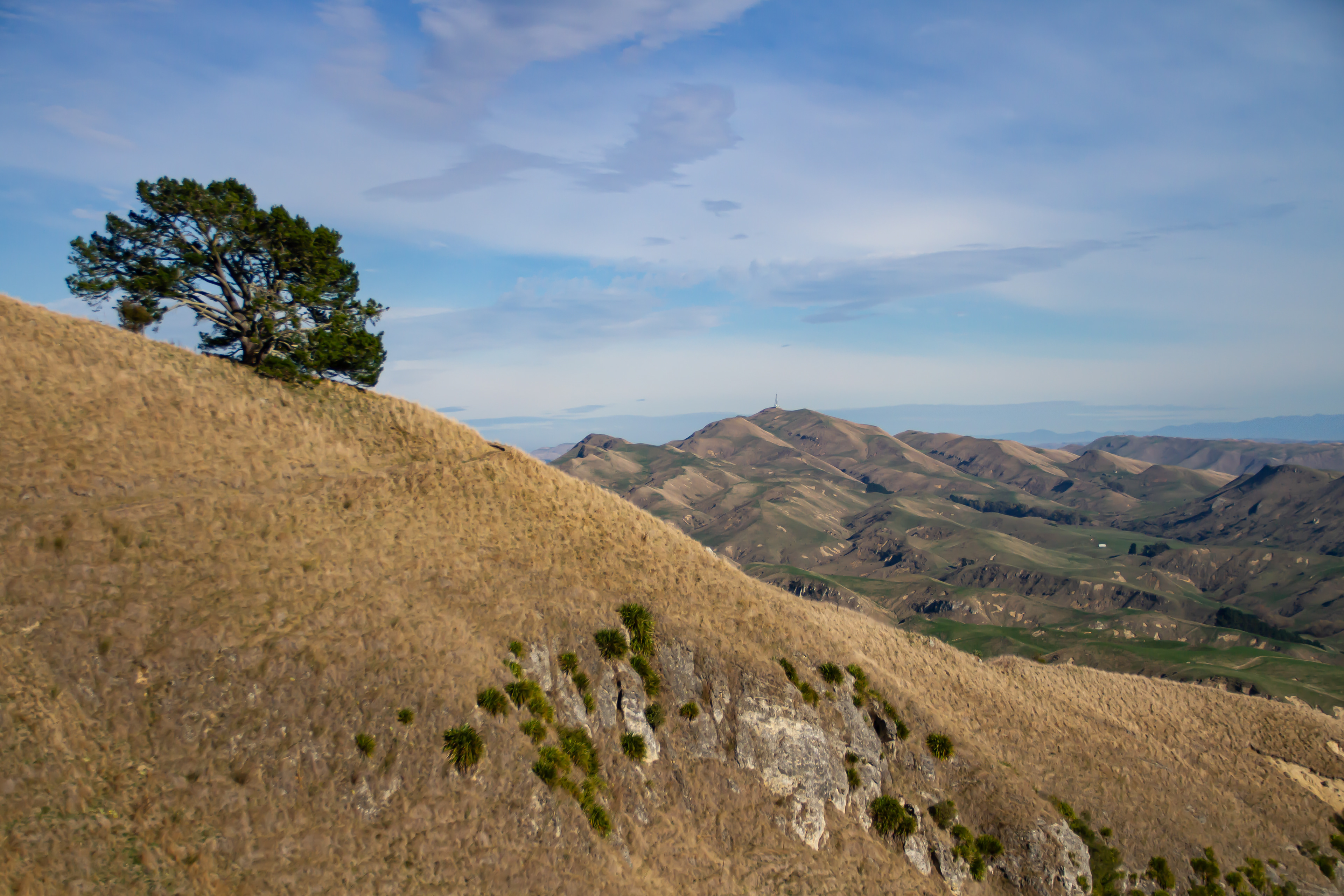 Te Mata Peak, NZ, 2024