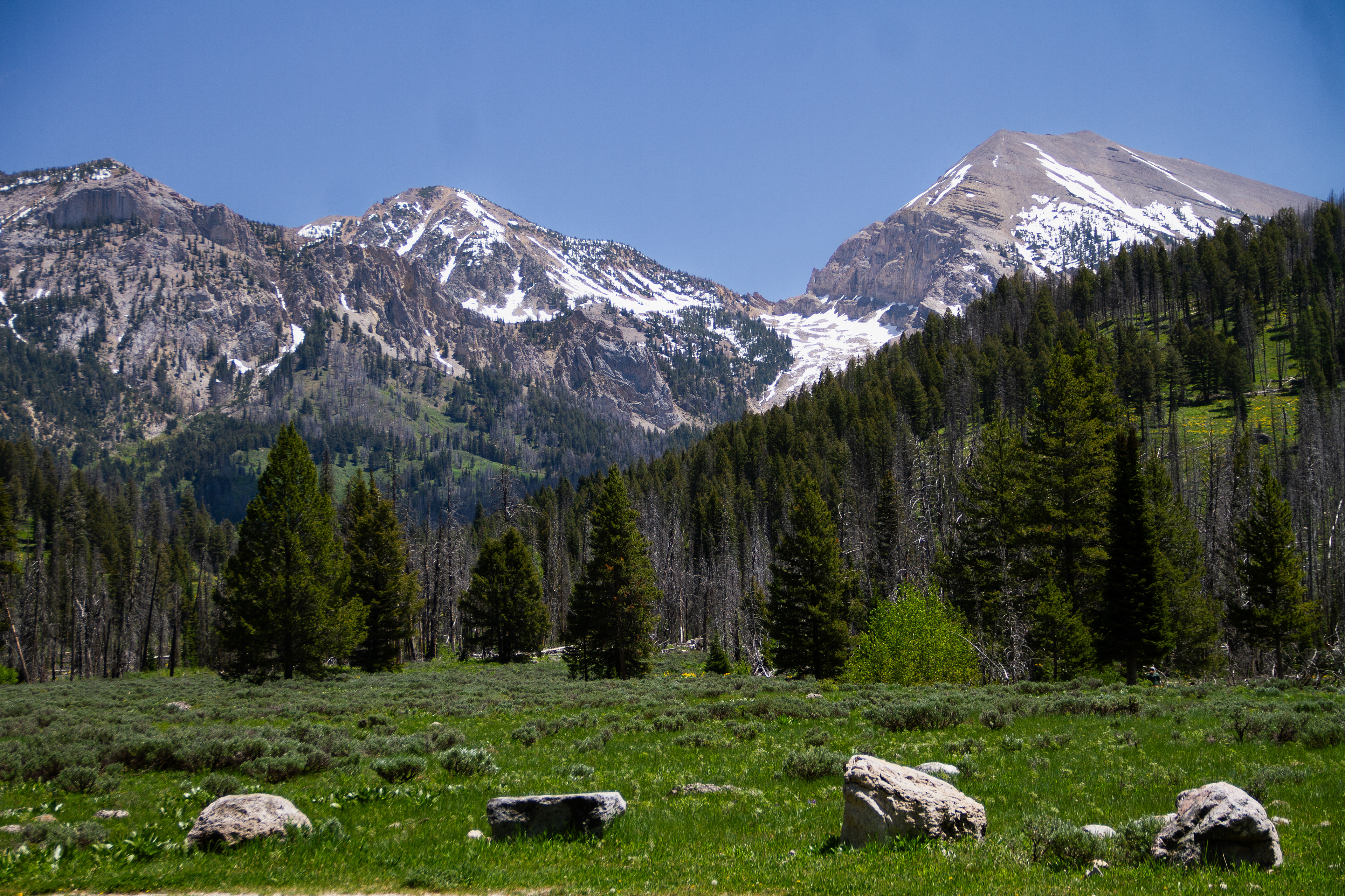 Jackson, WY, USA, 2025