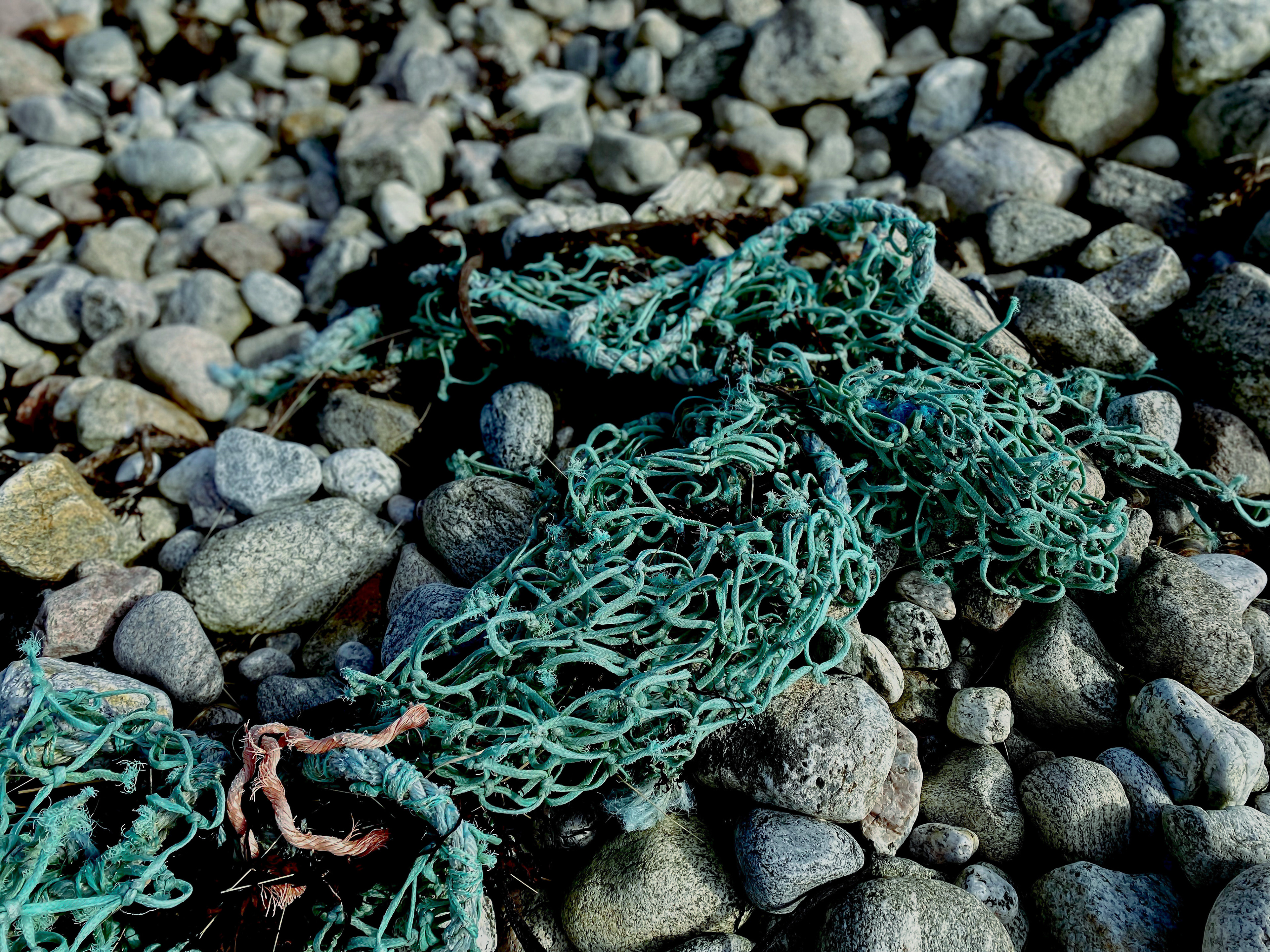 Overfishing: Scotland, UK, 2022