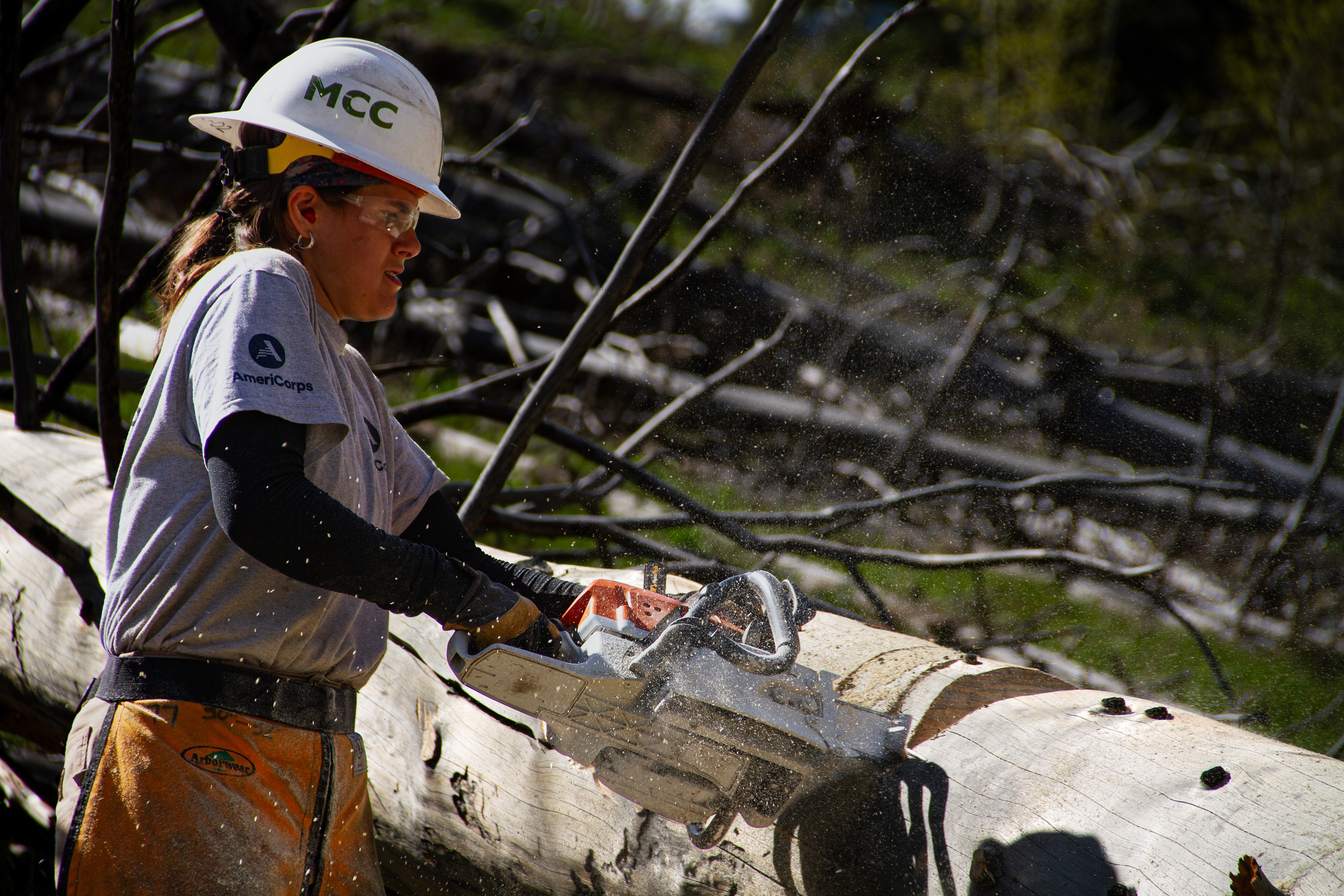 Jackson, WY, USA, 2025