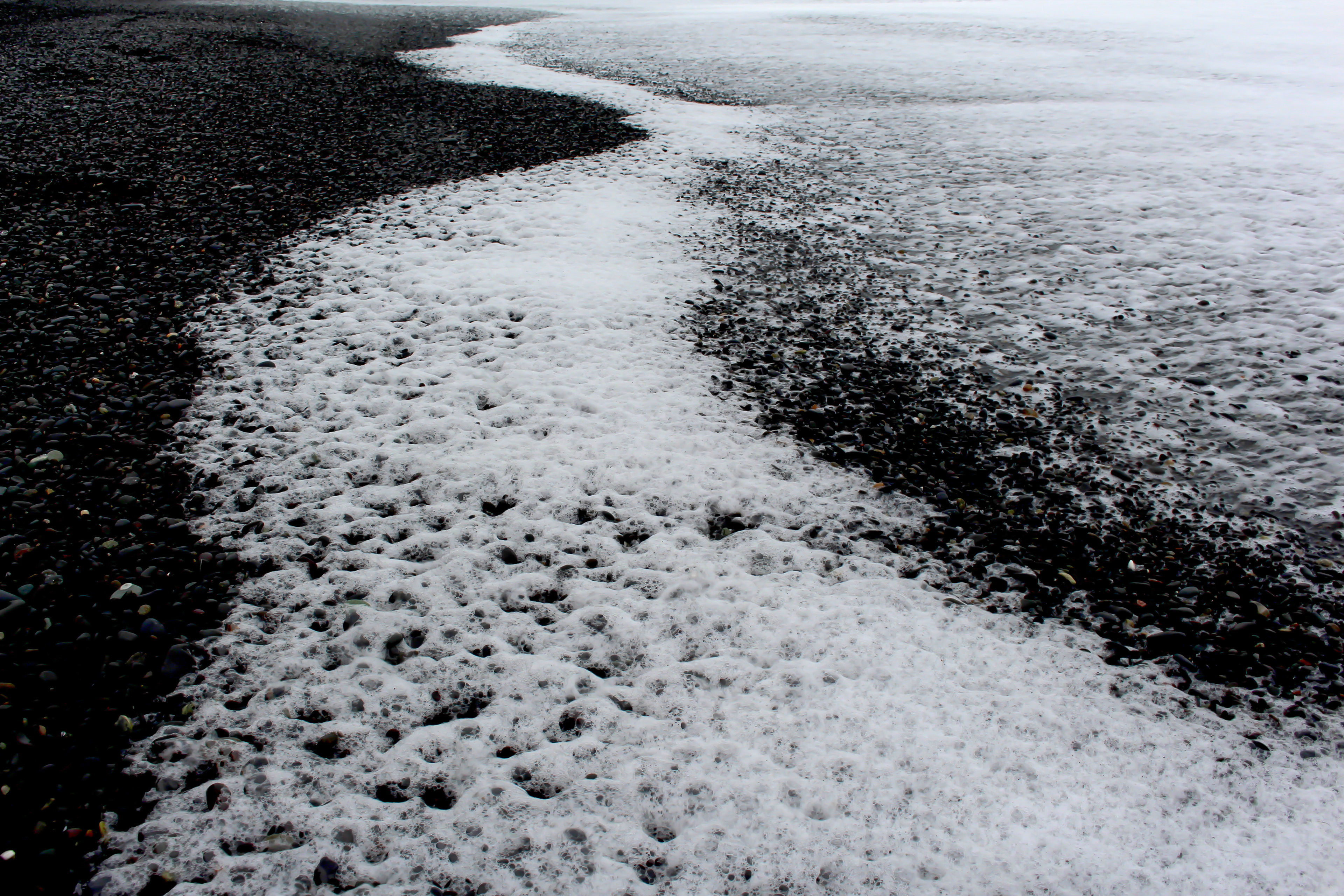 Third Beach, WA, USA, 2022