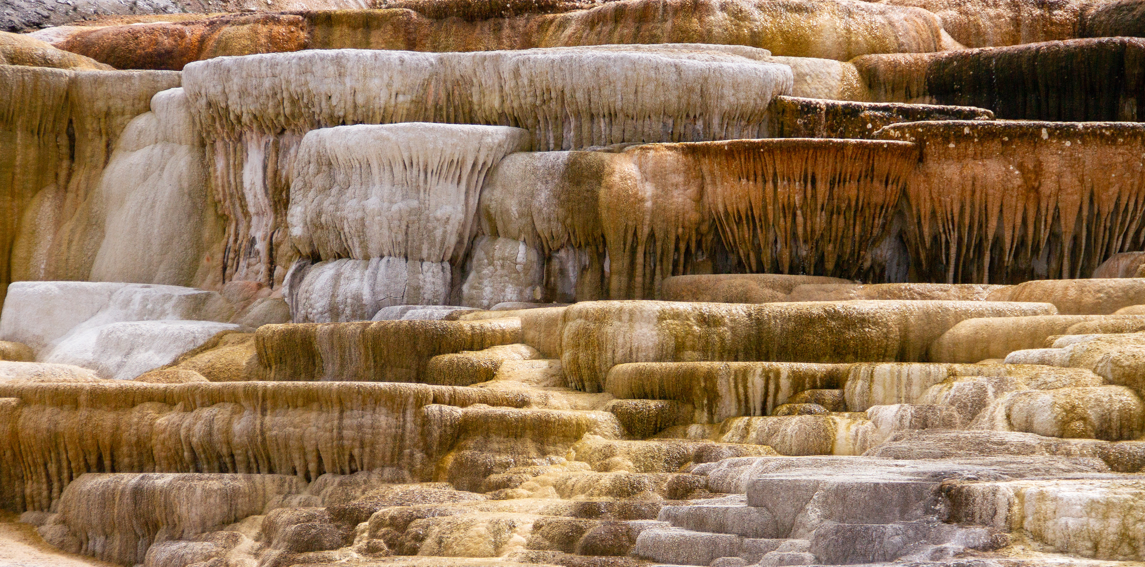 Yellowstone National Park, WY, USA, 2025