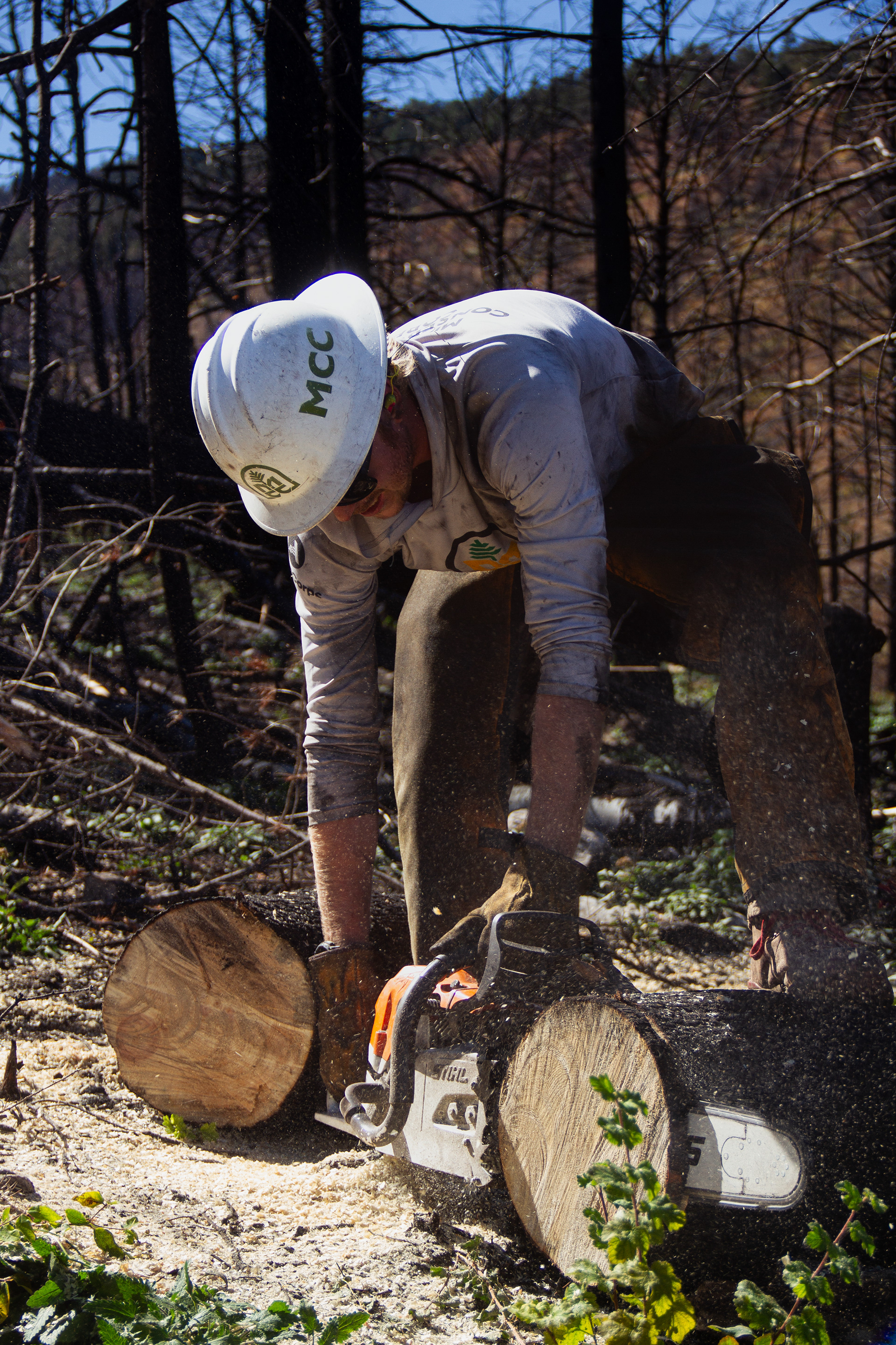 Bighorns, WY, USA, 2025