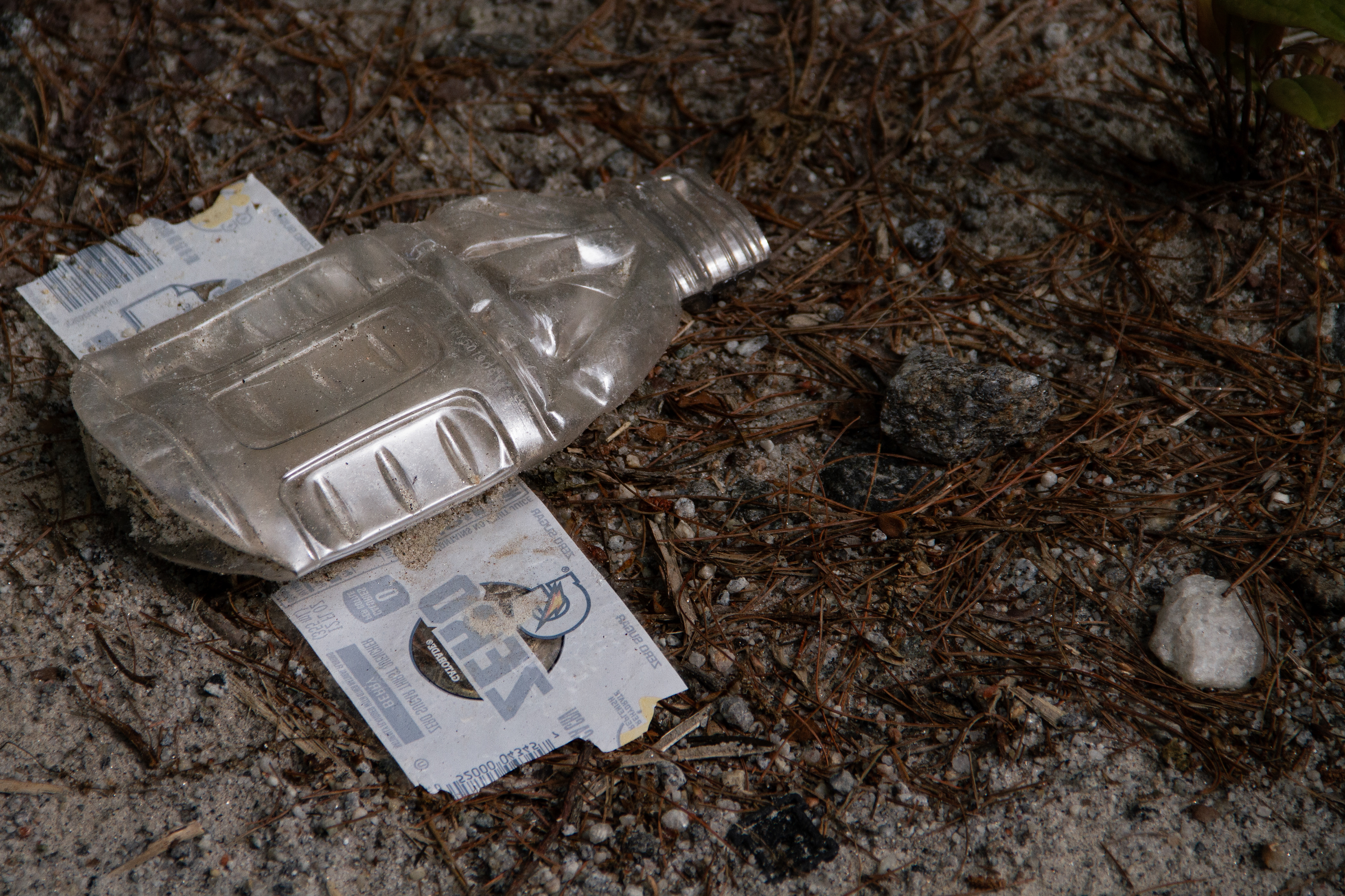 Pollution: Charlotte, NC, 2025