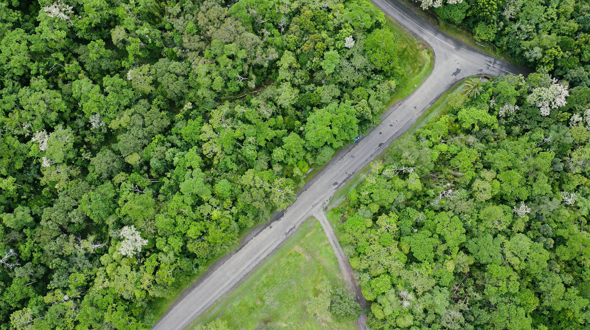 Daintree Rainforest, AUS, 2024
