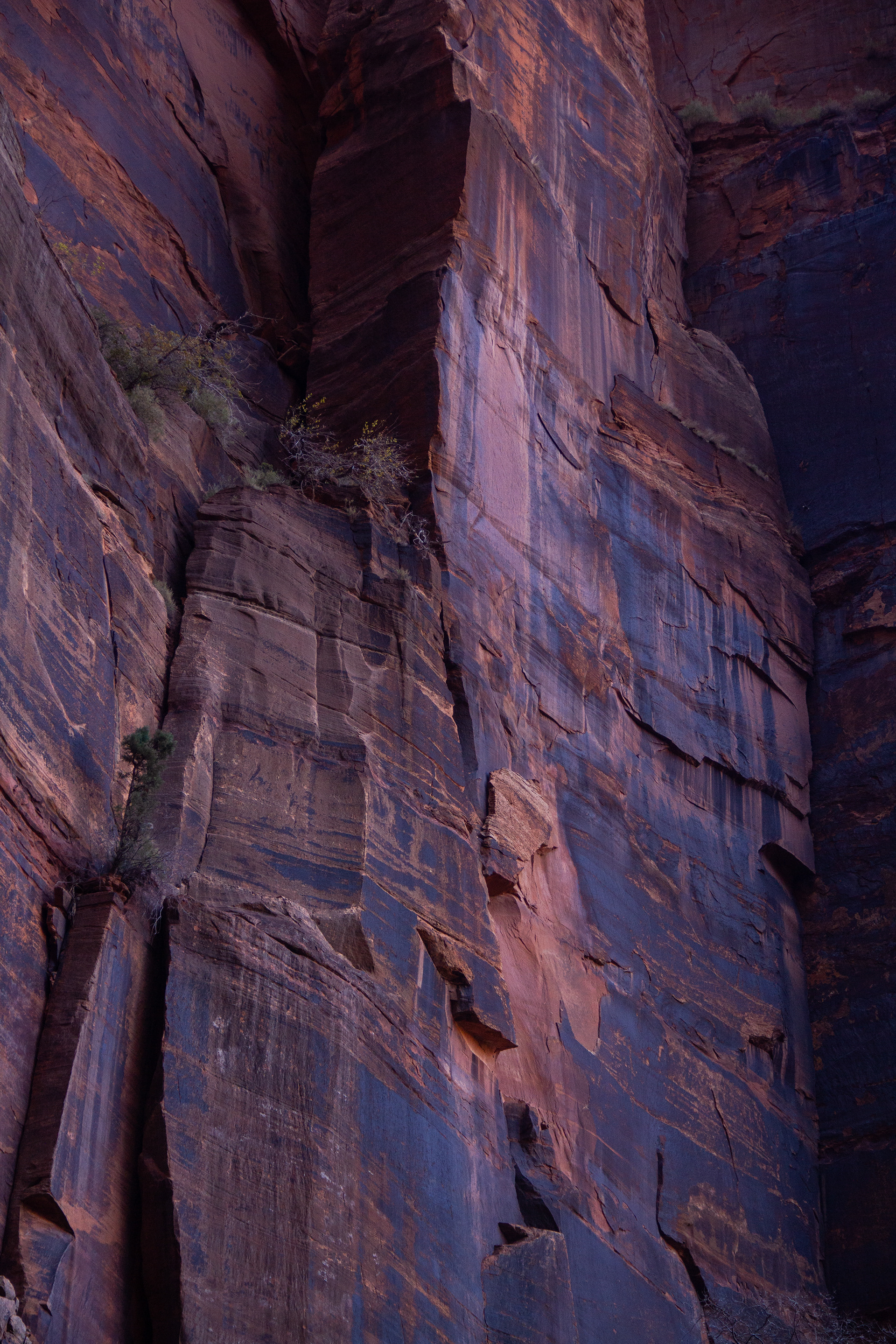 Zion National Park, UT, USA, 2025