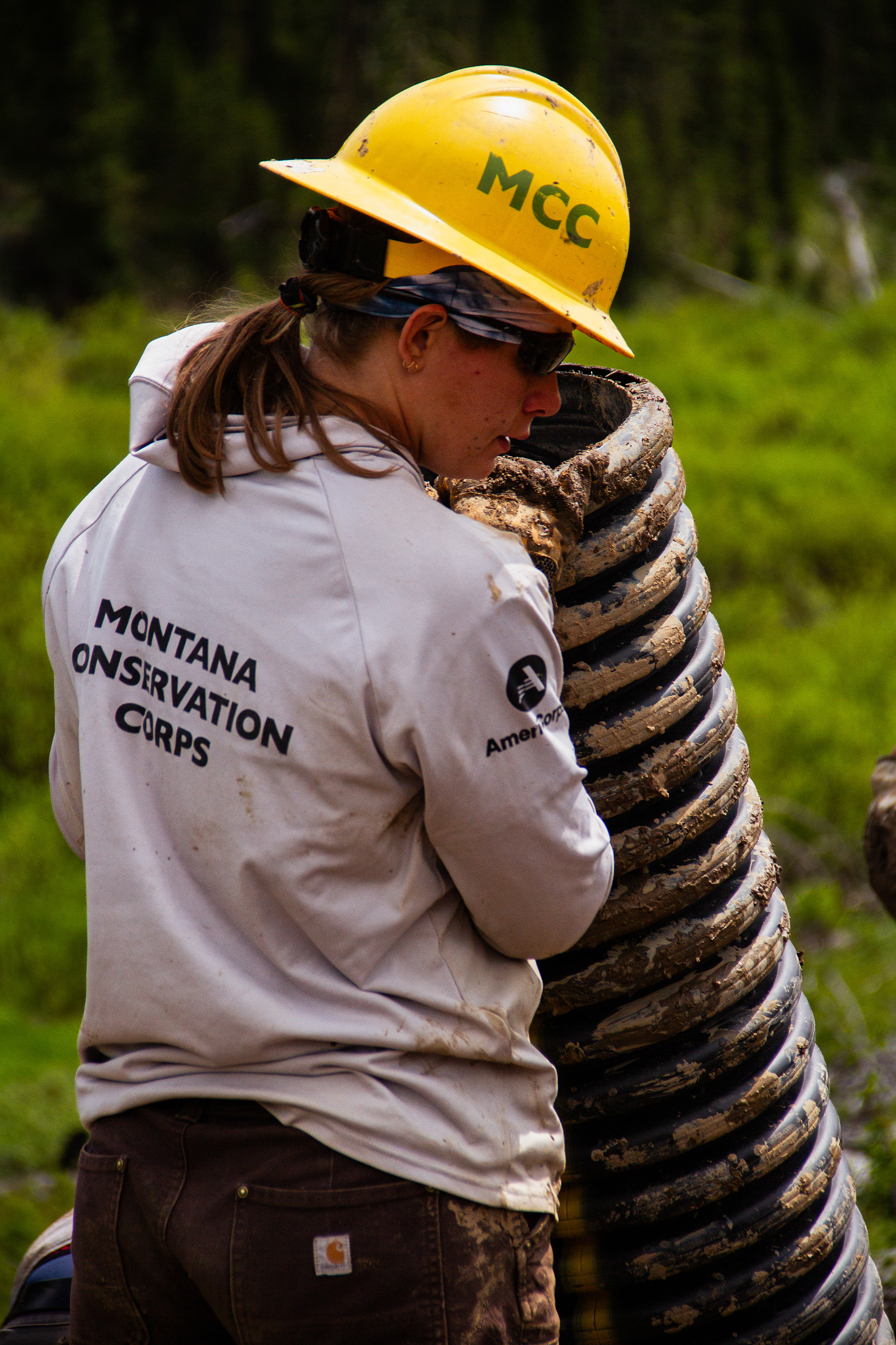 Jackson, WY, USA, 2025