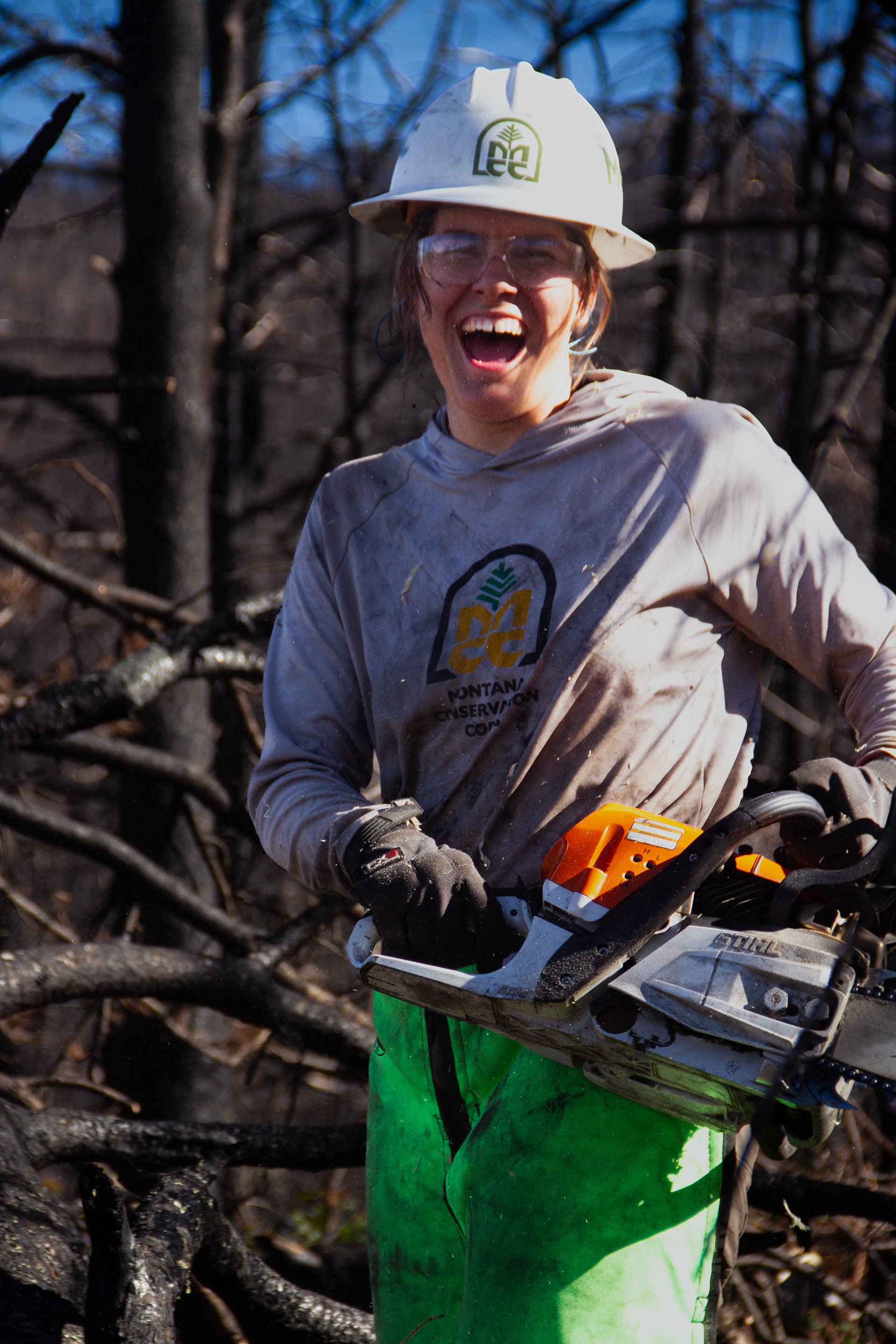 Bighorns, WY, USA, 2025