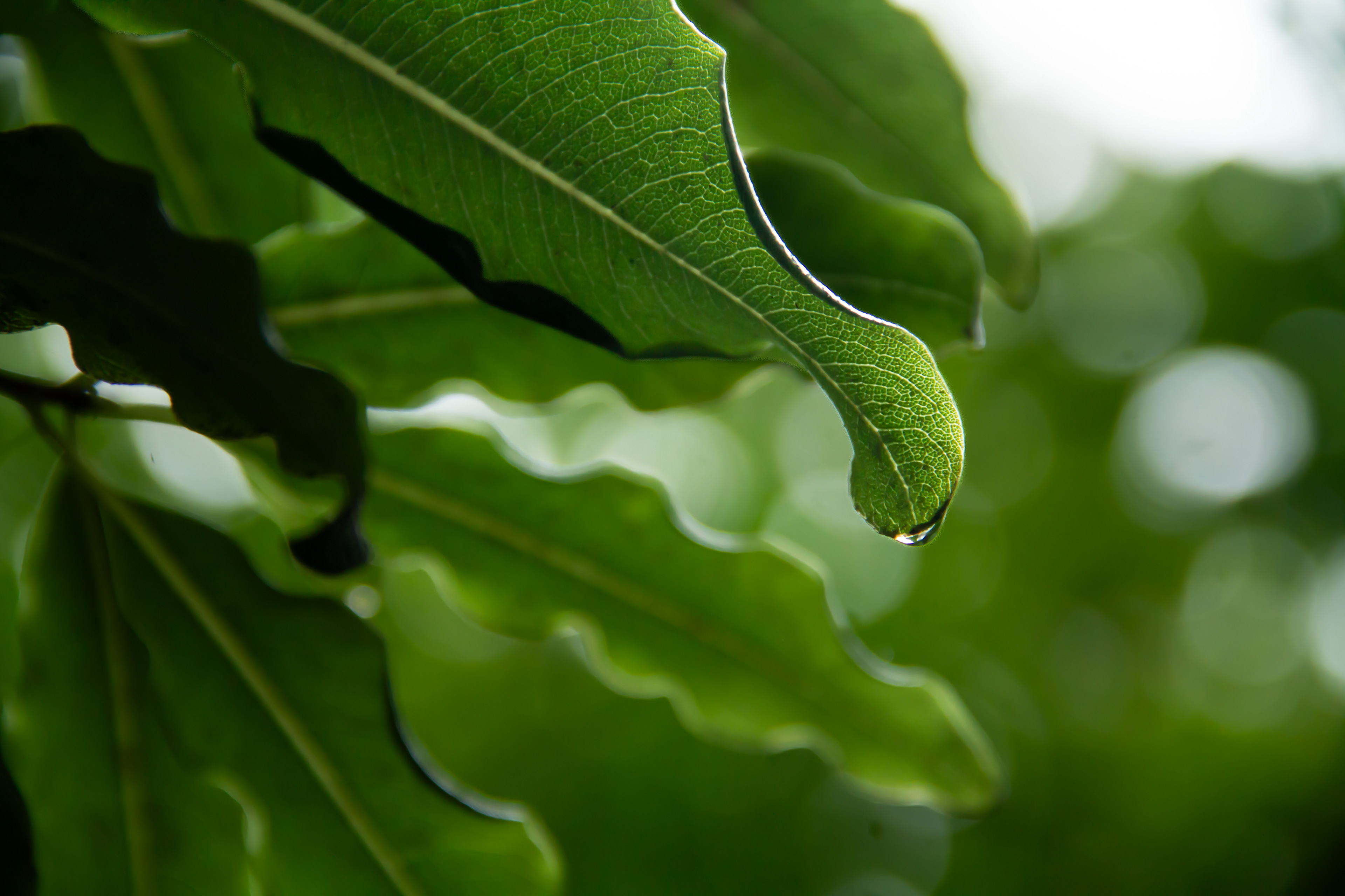 Queenstown, NZ, 2024