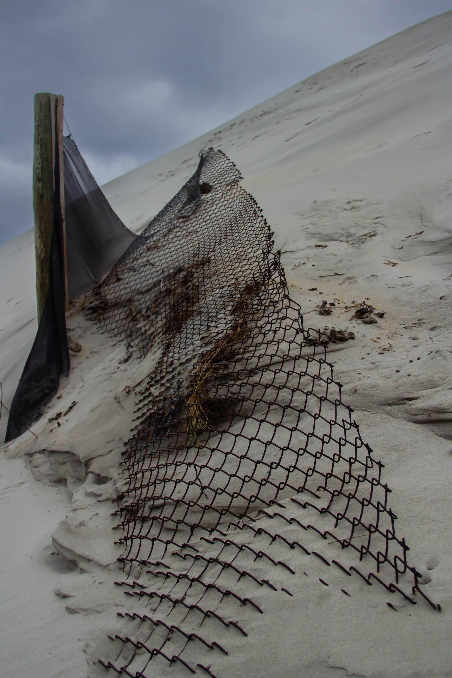 Pollution: Dunedin, NZ, 2024