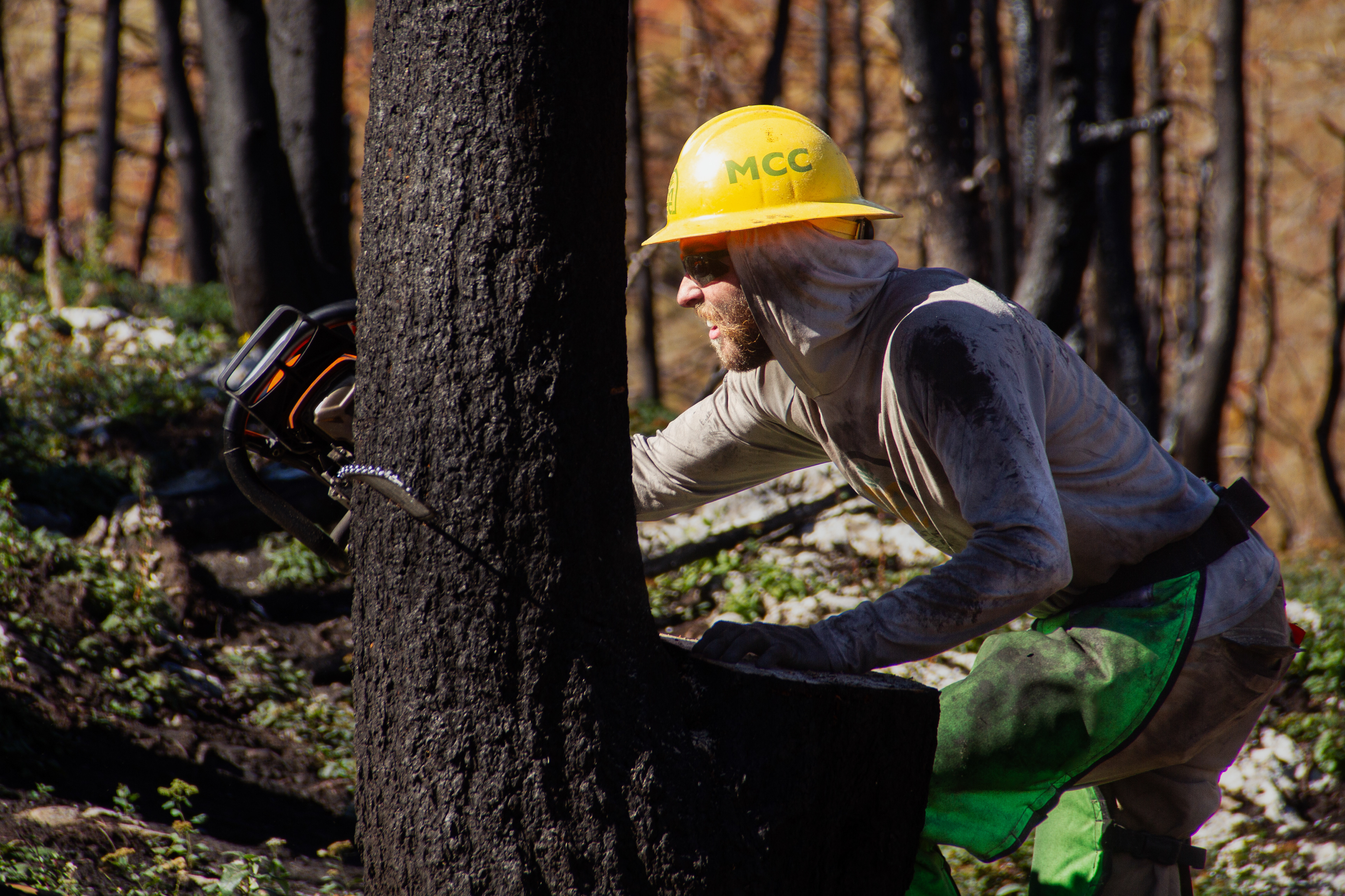 Bighorns, WY, USA, 2025