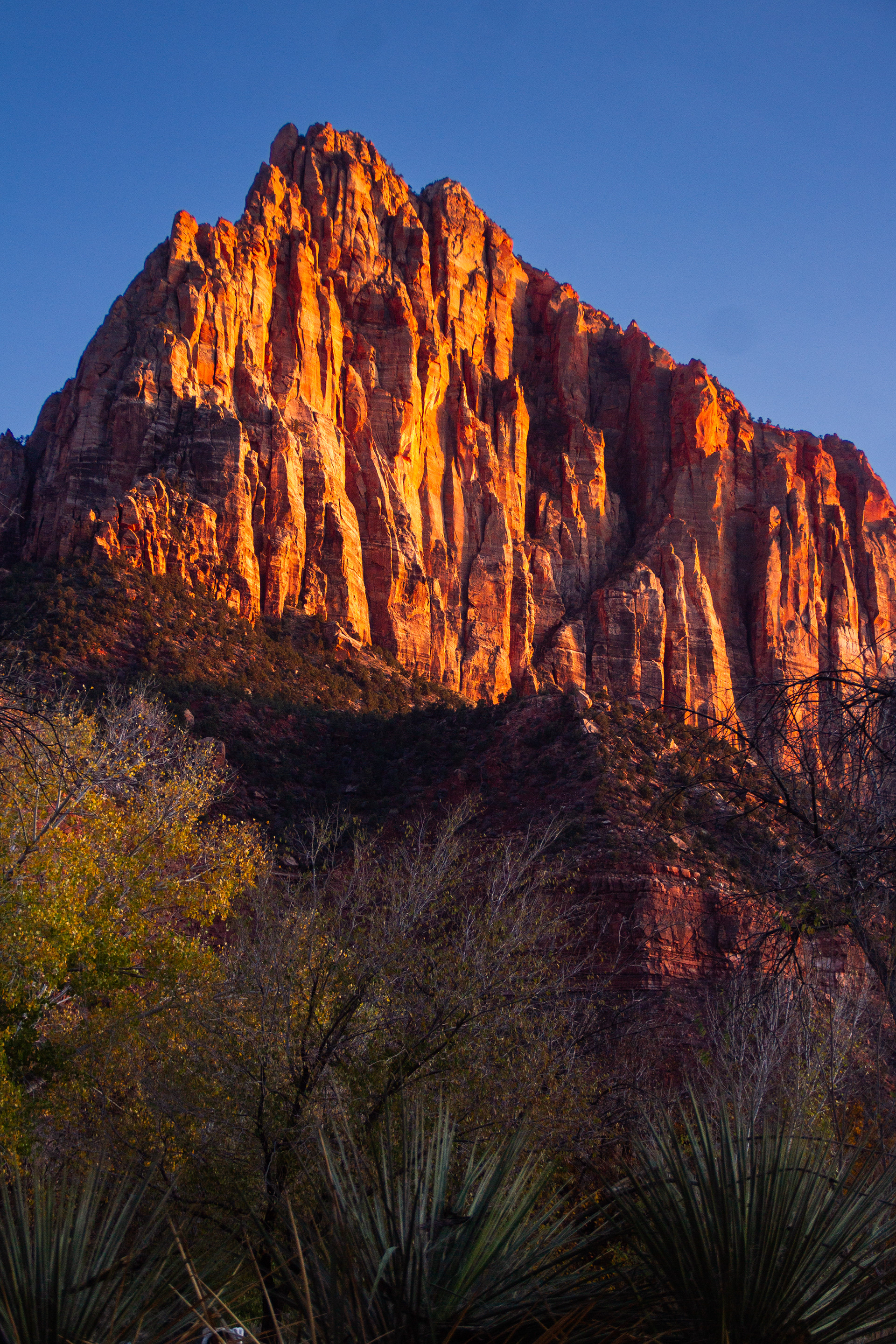 Zion National Park, UT, USA, 2025