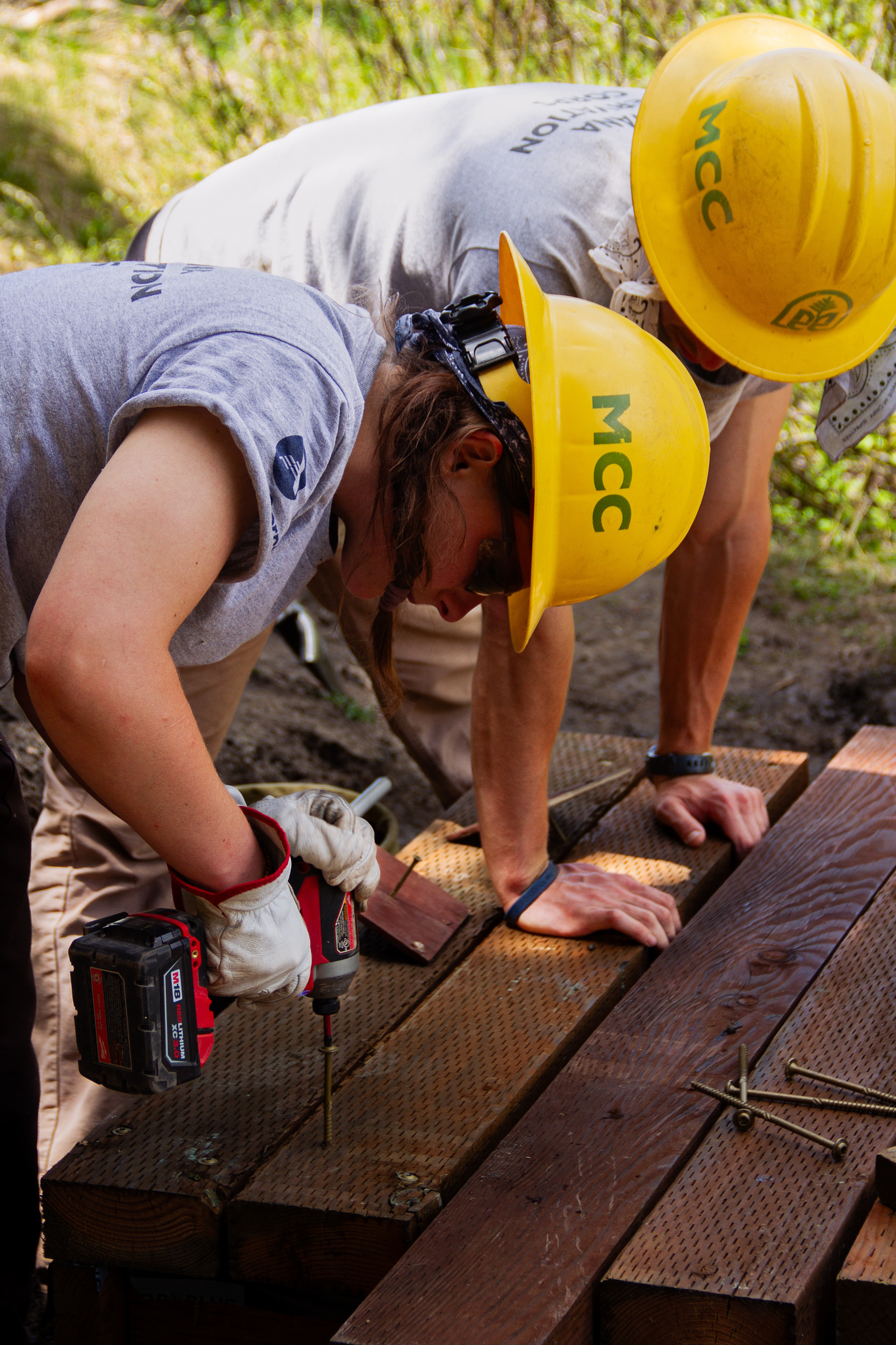 Jackson, WY, USA, 2025
