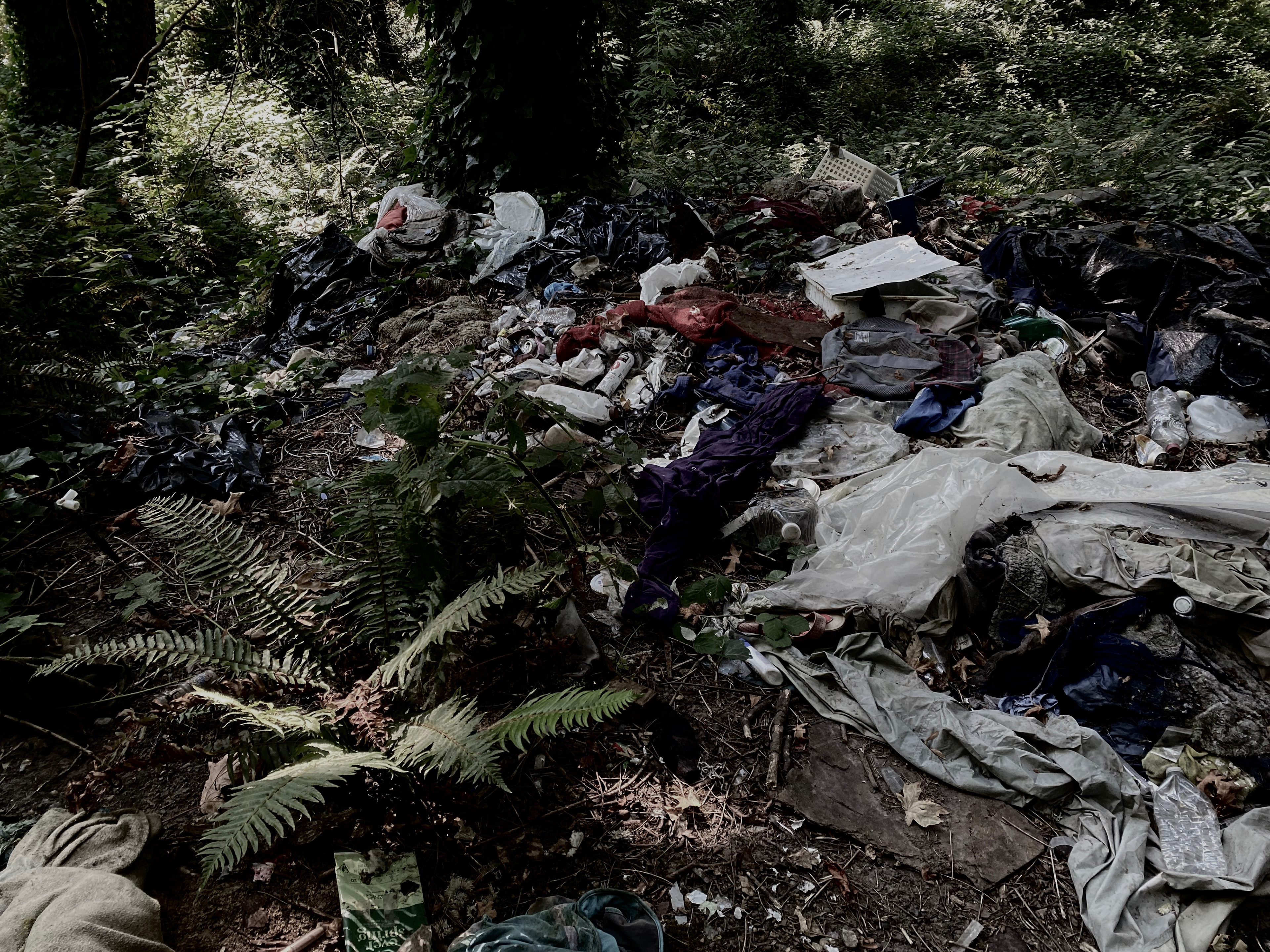 Pollution: Seattle, WA, USA, 2022