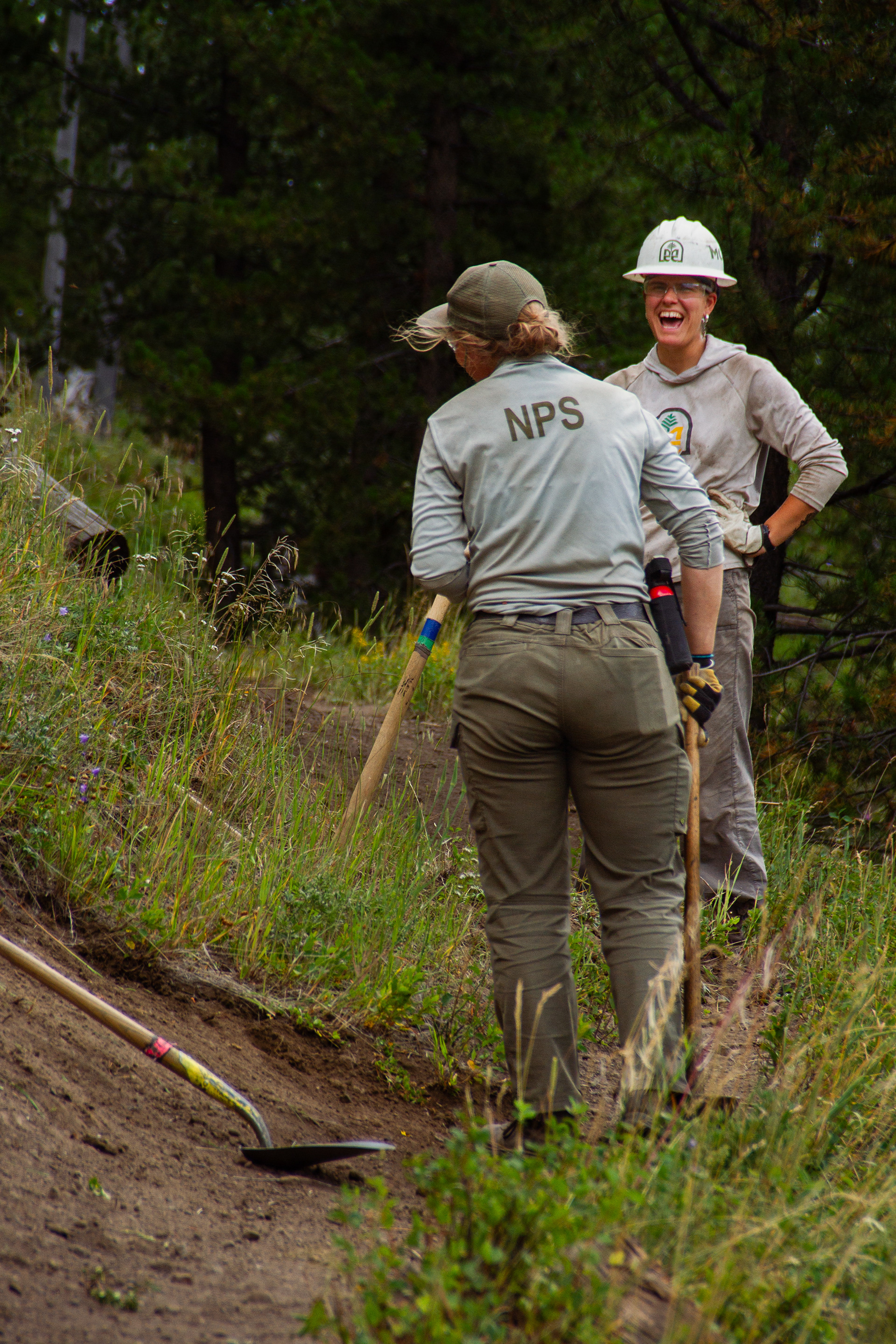 Yellowstone National Park, WY, USA, 2025