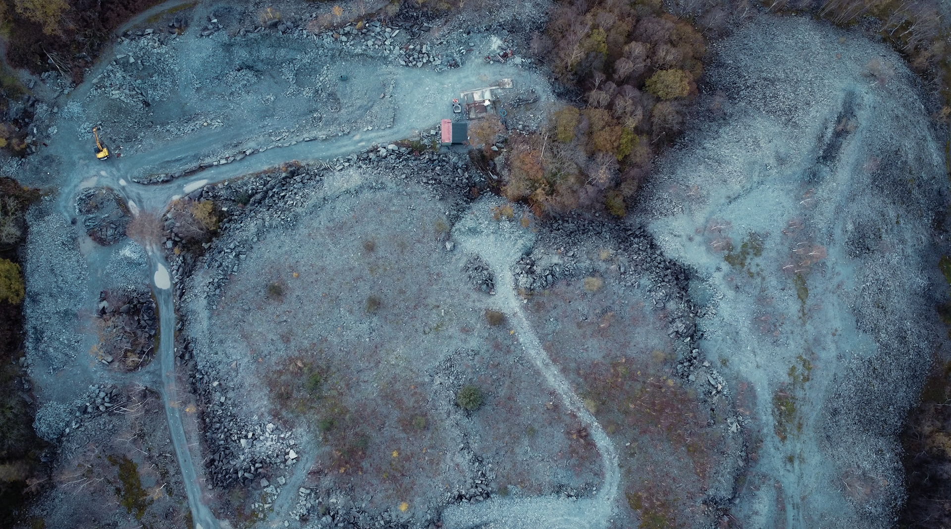 Deforestation: Cumbria, UK, 2023