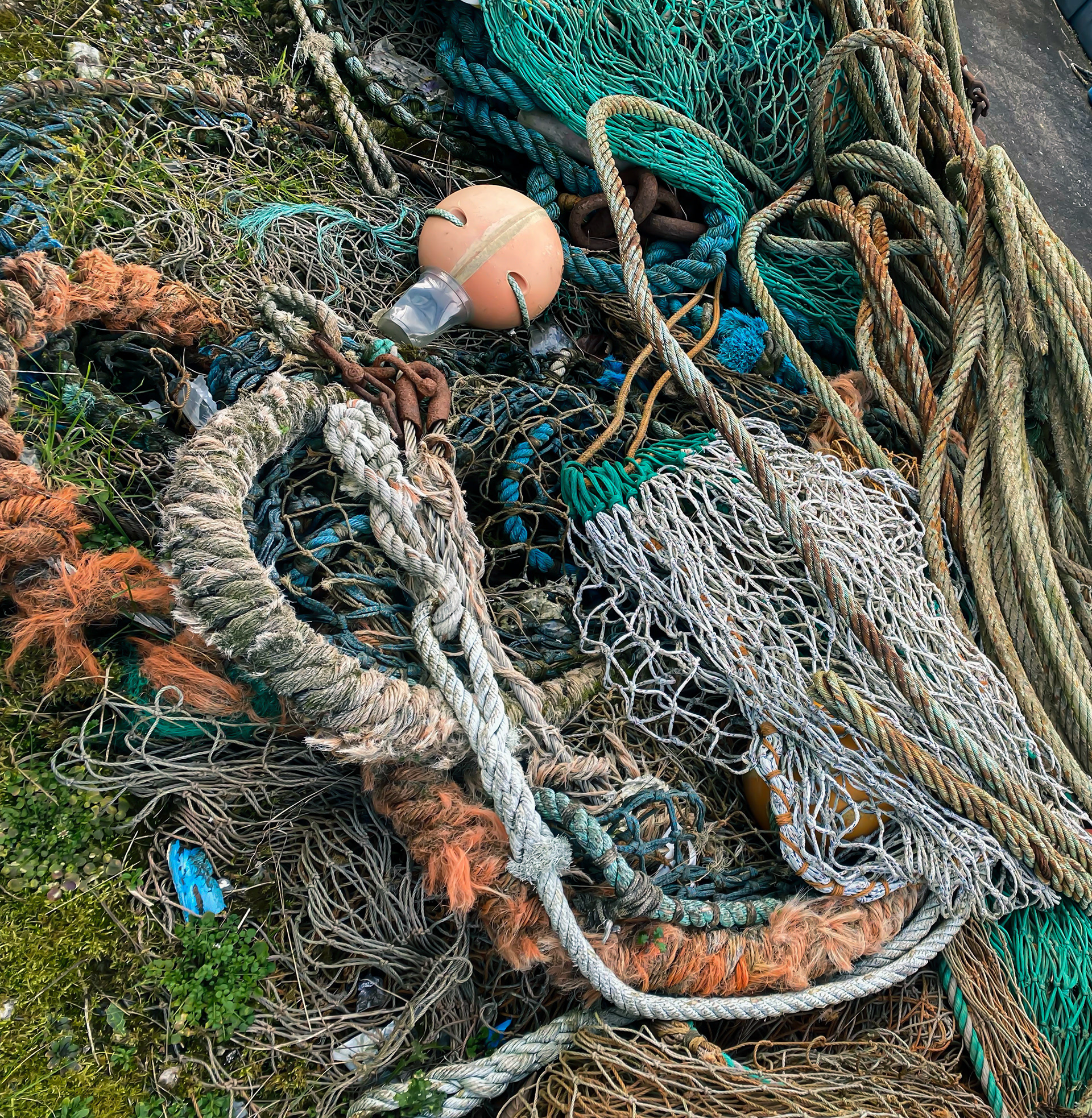 Overfishing: Cumbria, UK, 2022