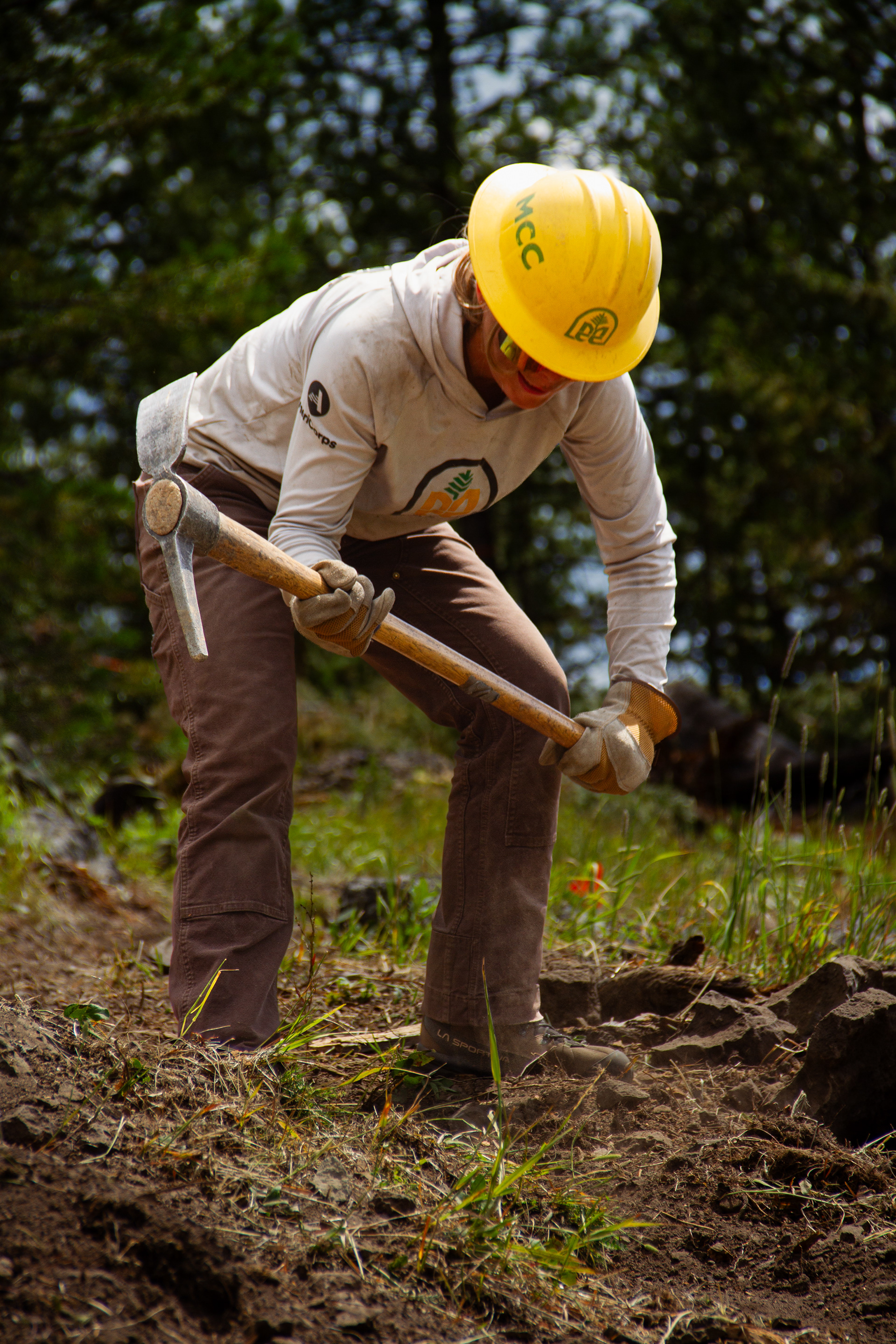 Yellowstone National Park, WY, USA, 2025
