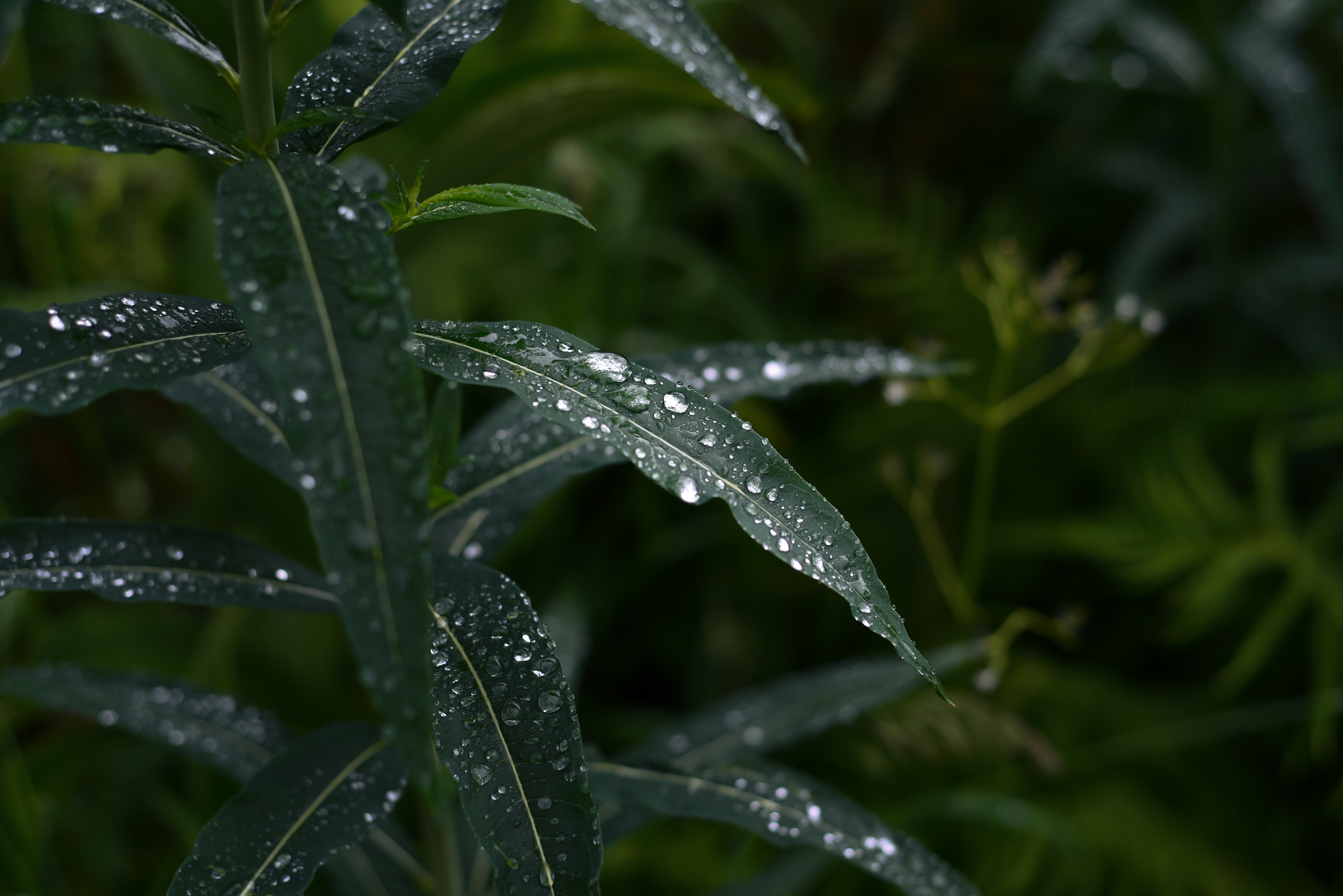 Lake Twenty Two, WA, 2022