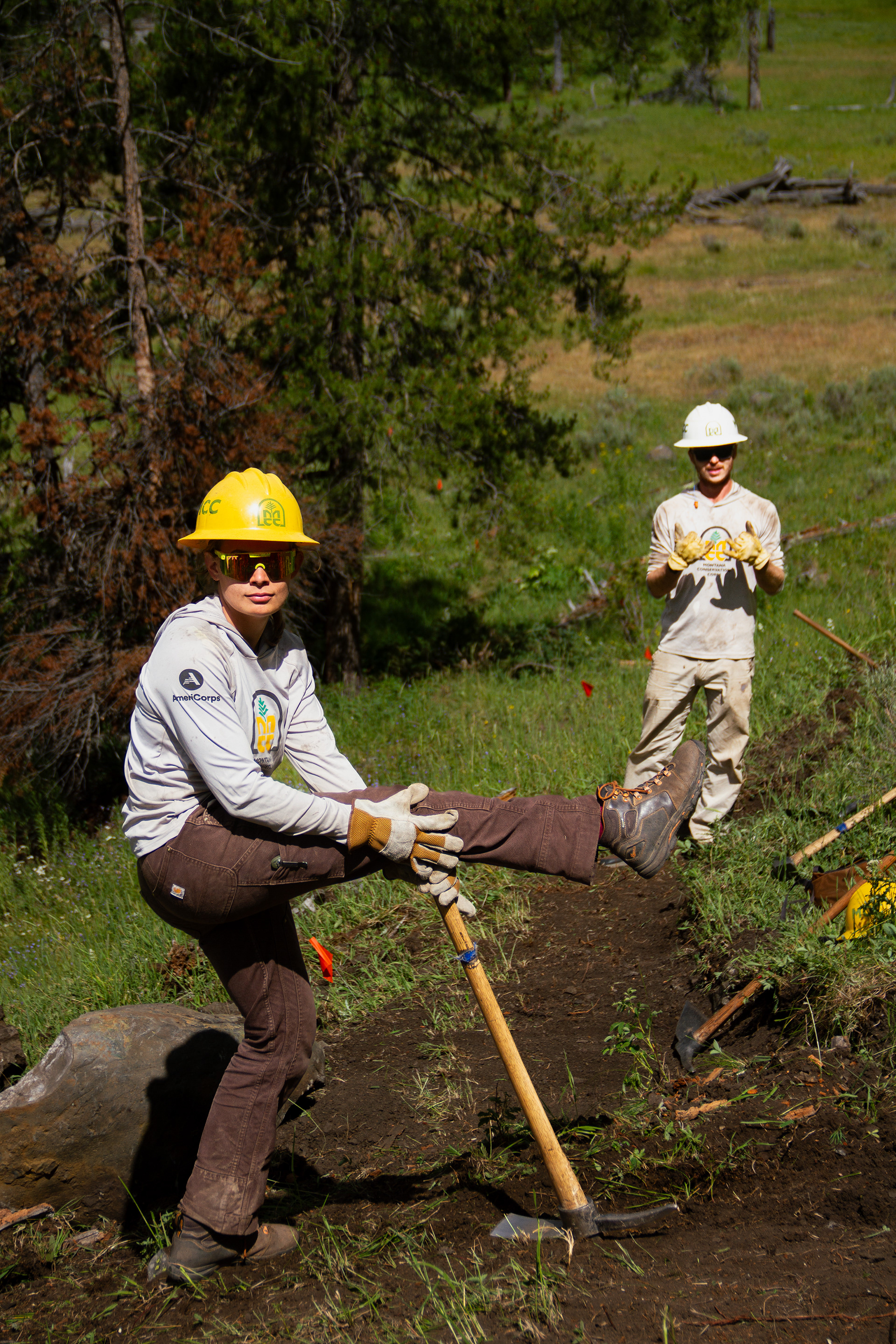 Yellowstone National Park, WY, USA, 2025
