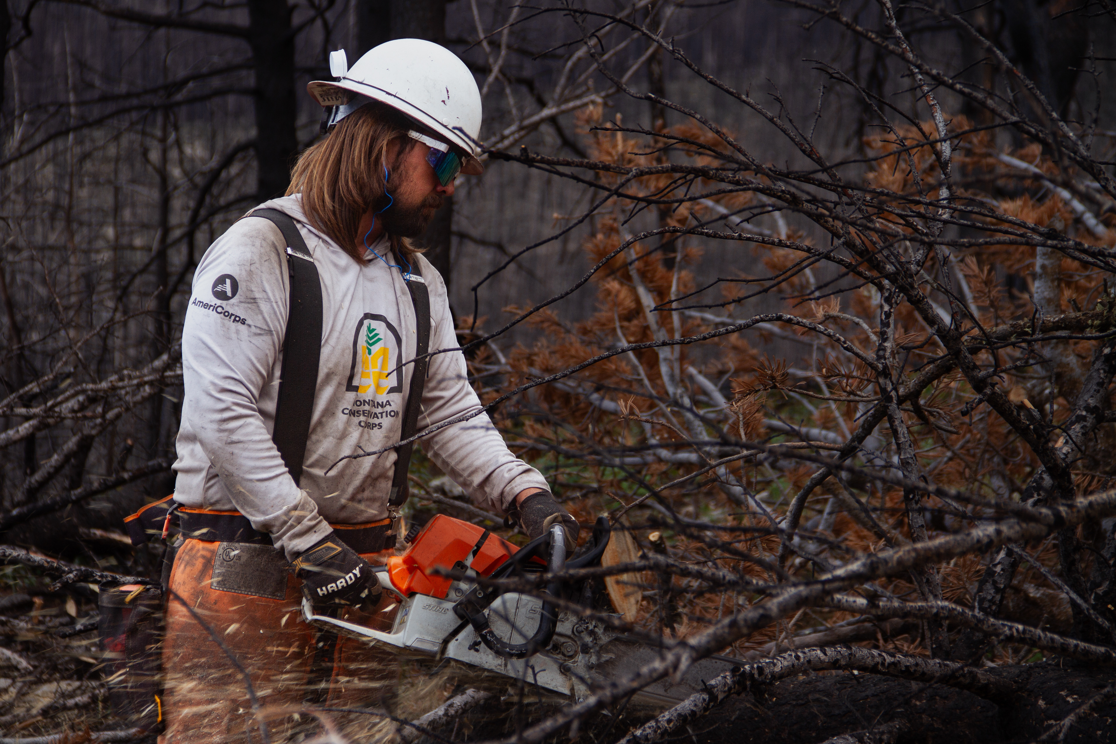 Bighorns, WY, USA, 2025