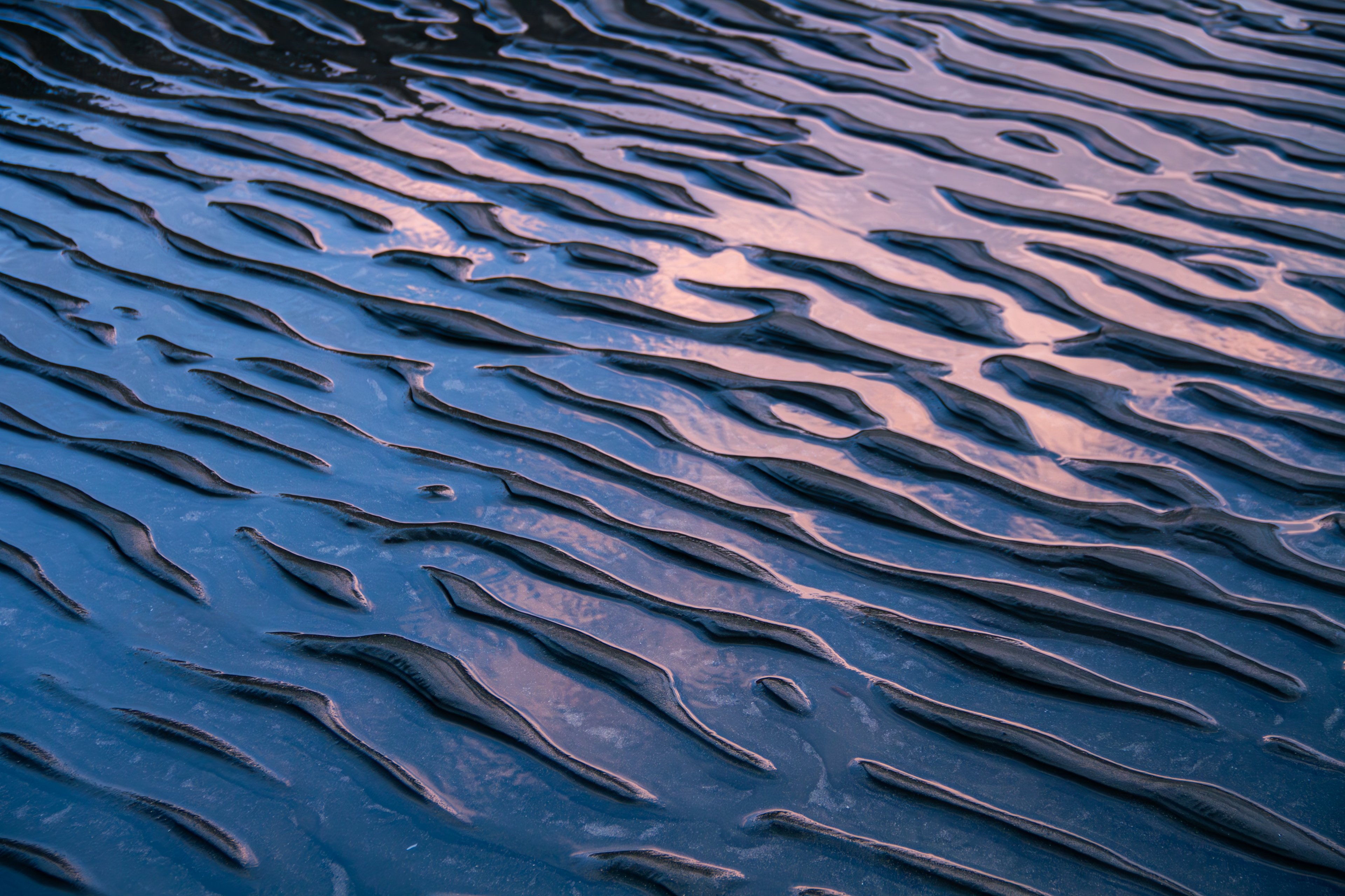  Banks Peninsula, NZ, 2024