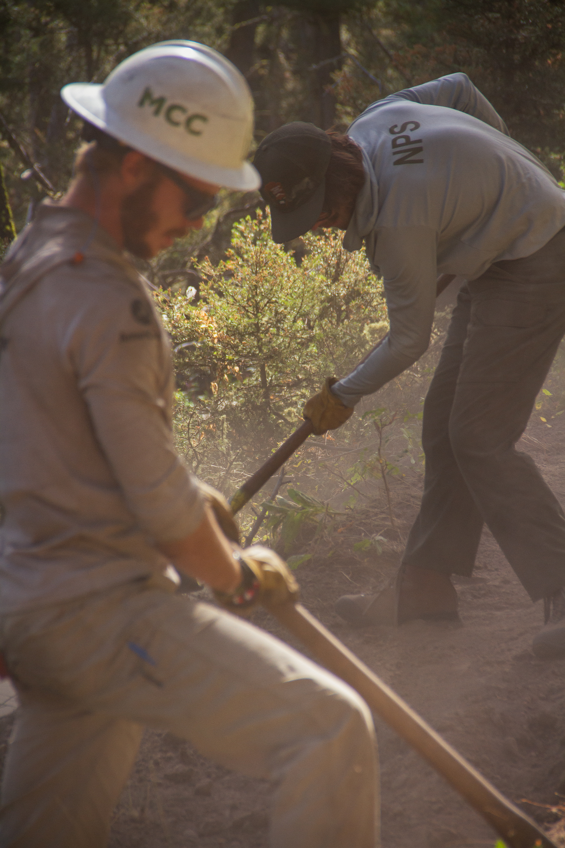 Yellowstone National Park, WY, USA, 2025