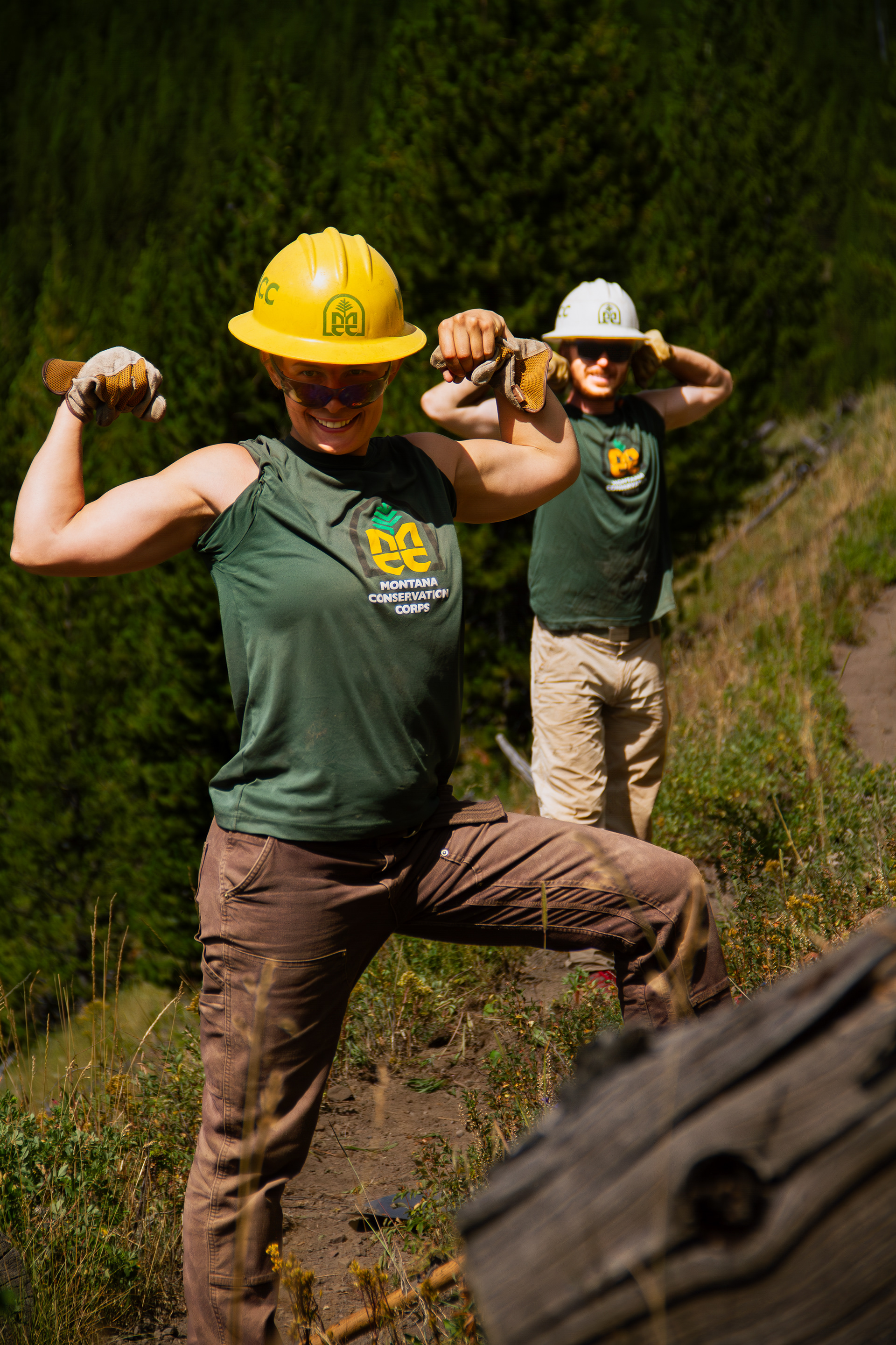 Yellowstone National Park, WY, USA, 2025