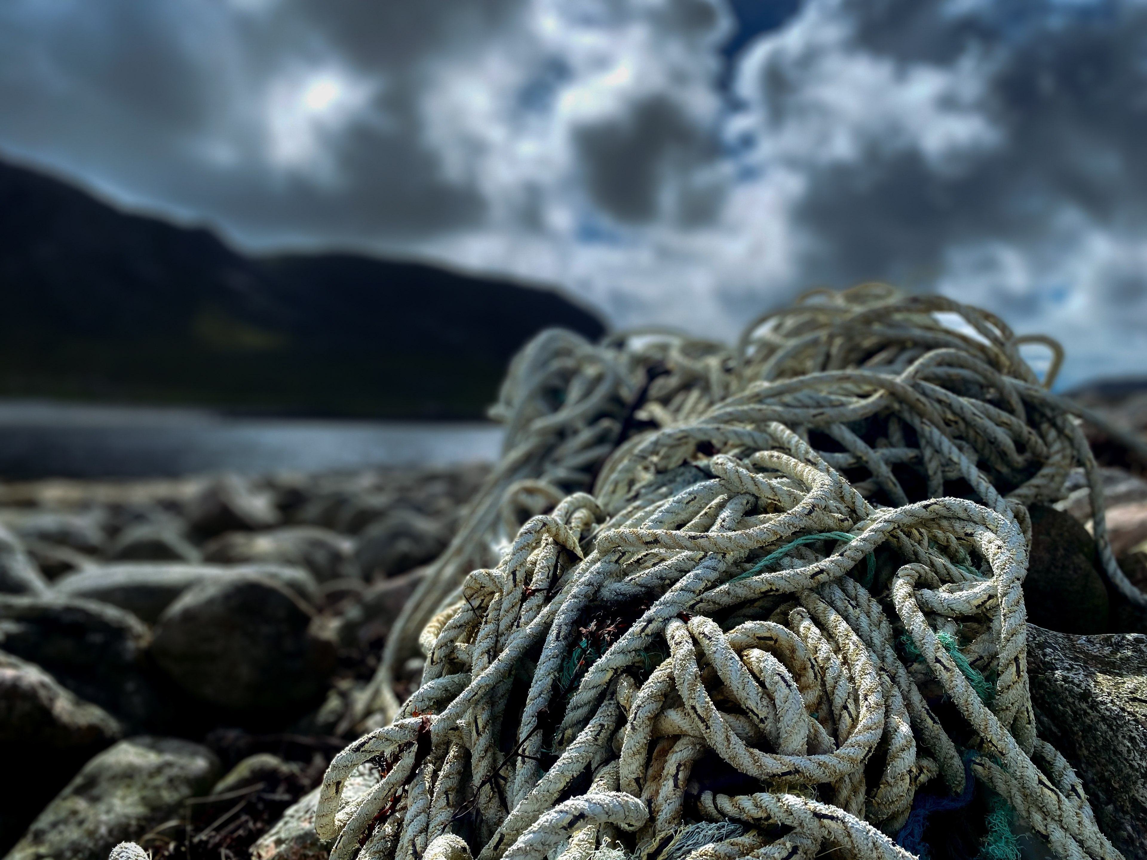 Overfishing: Scotland, UK, 2022