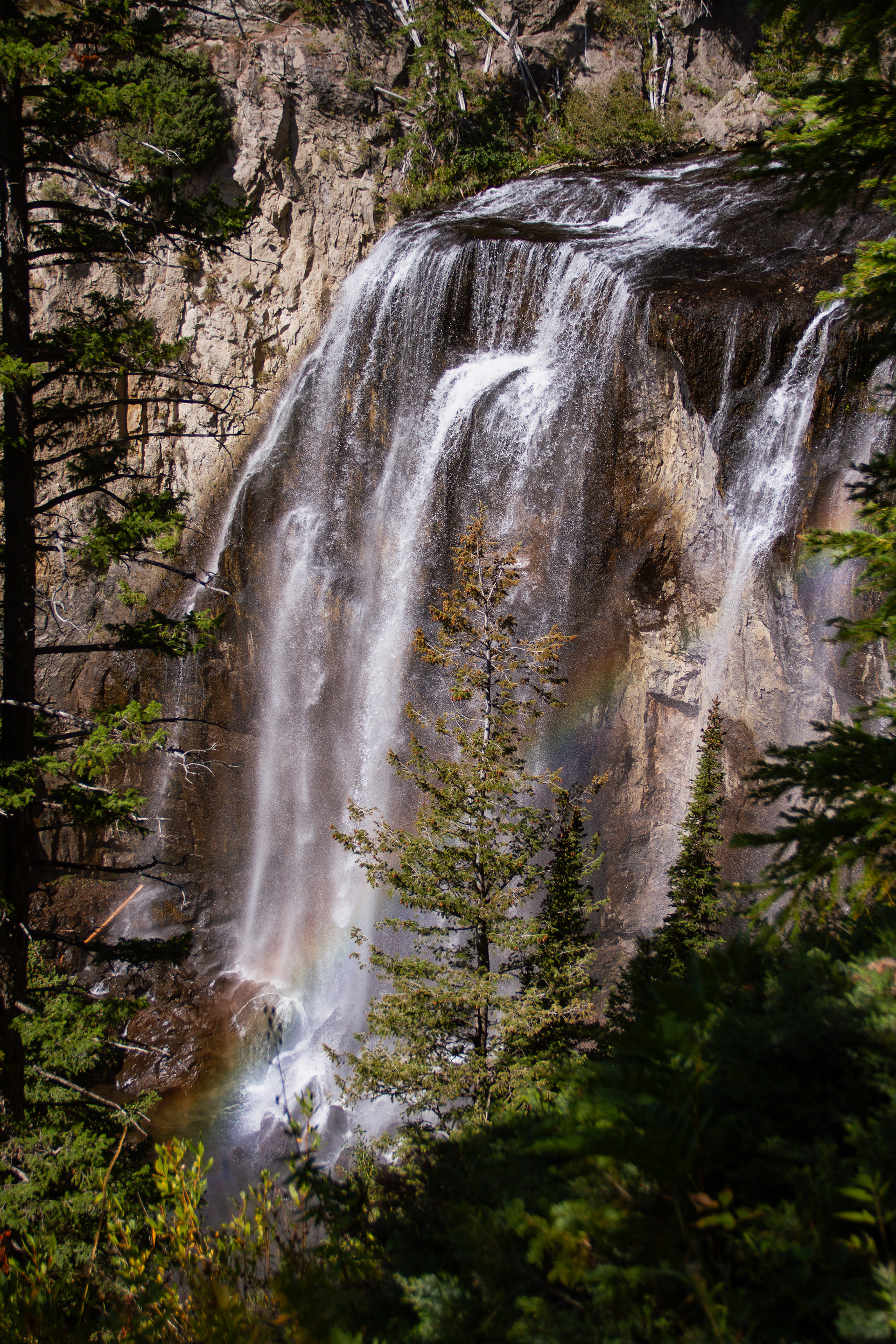 Yellowstone National Park, WY, USA, 2025