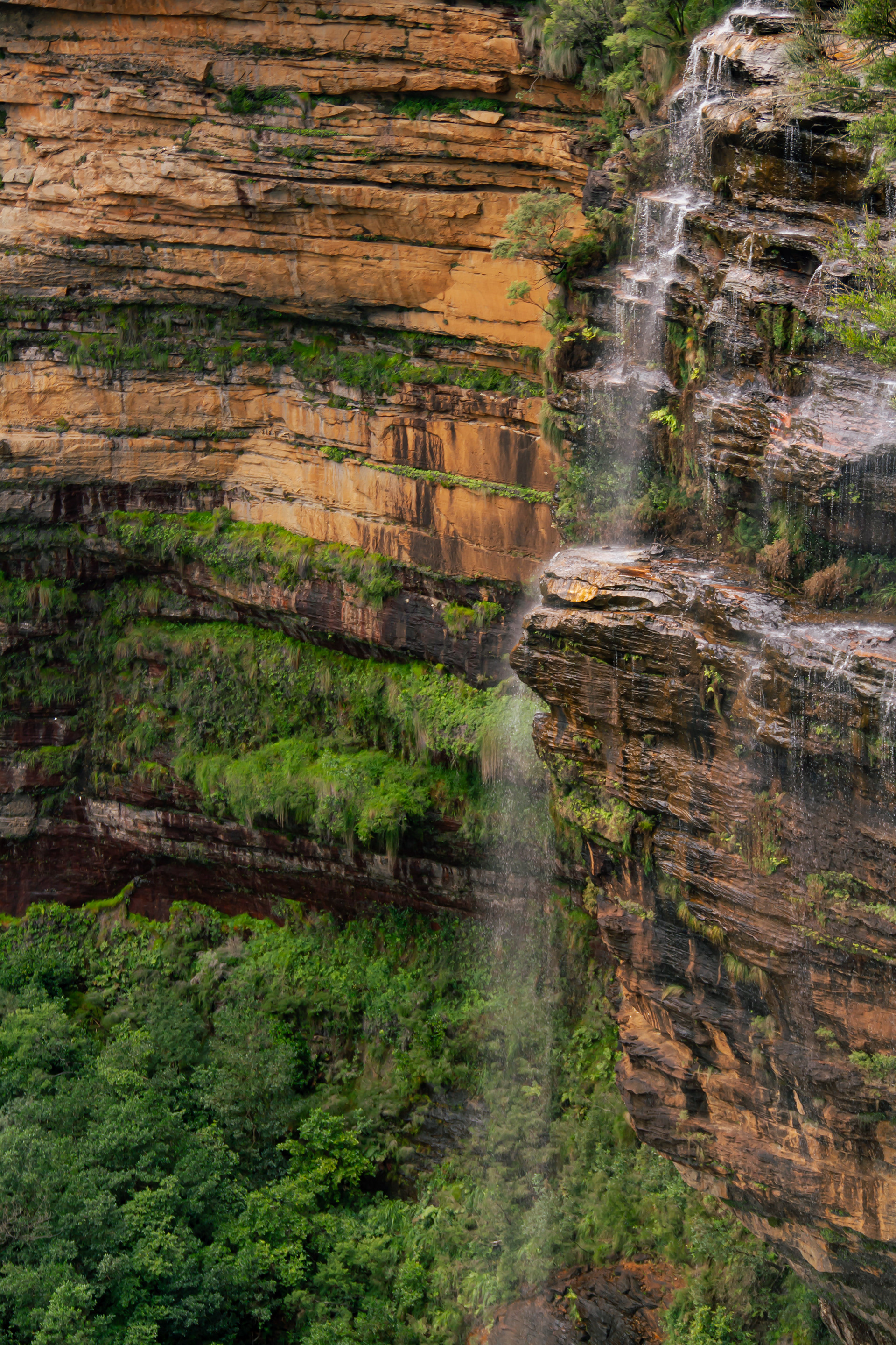Blue Mountains National Park, AUS, 2024