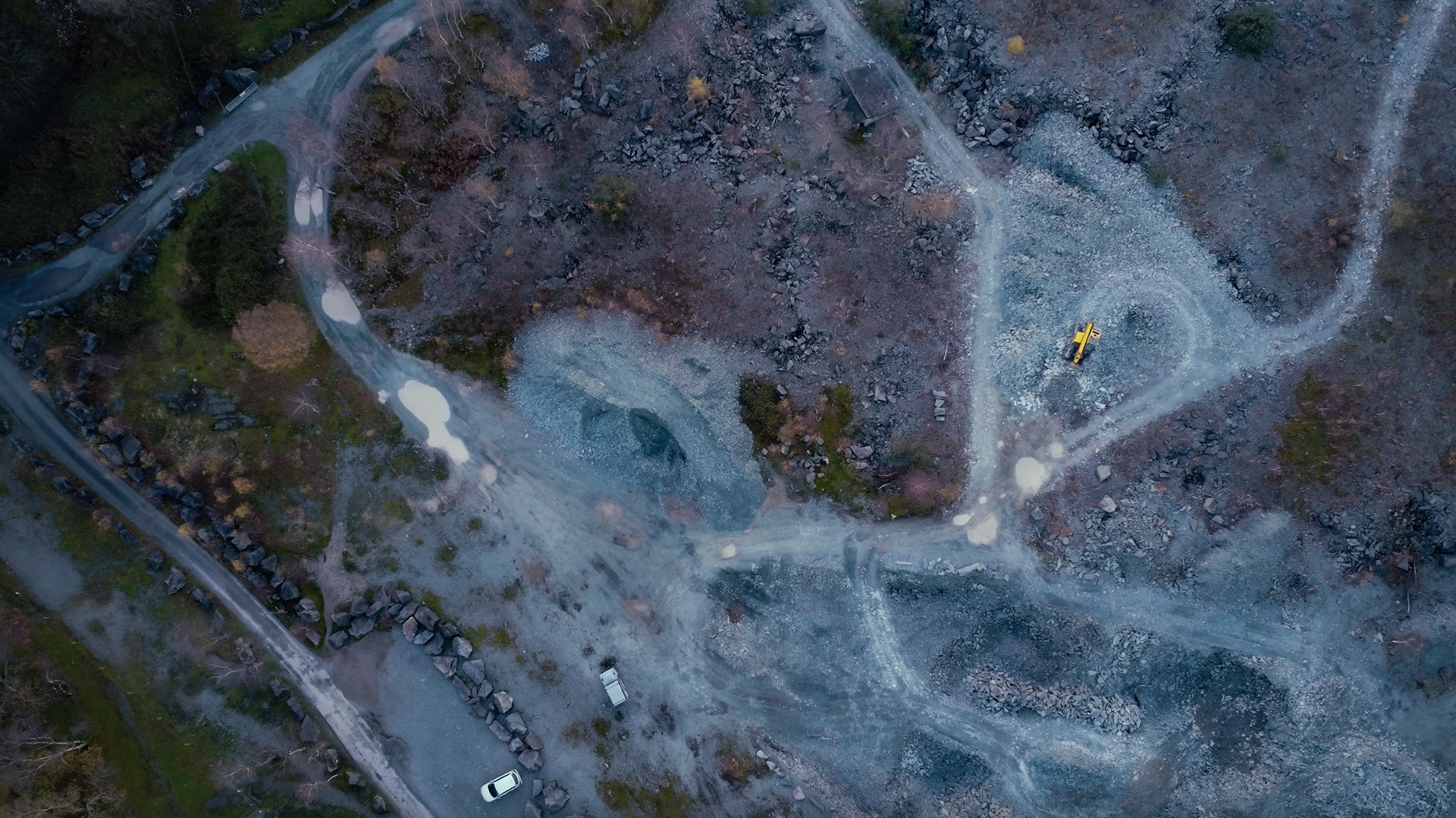 Deforestation: Cumbria, UK, 2023
