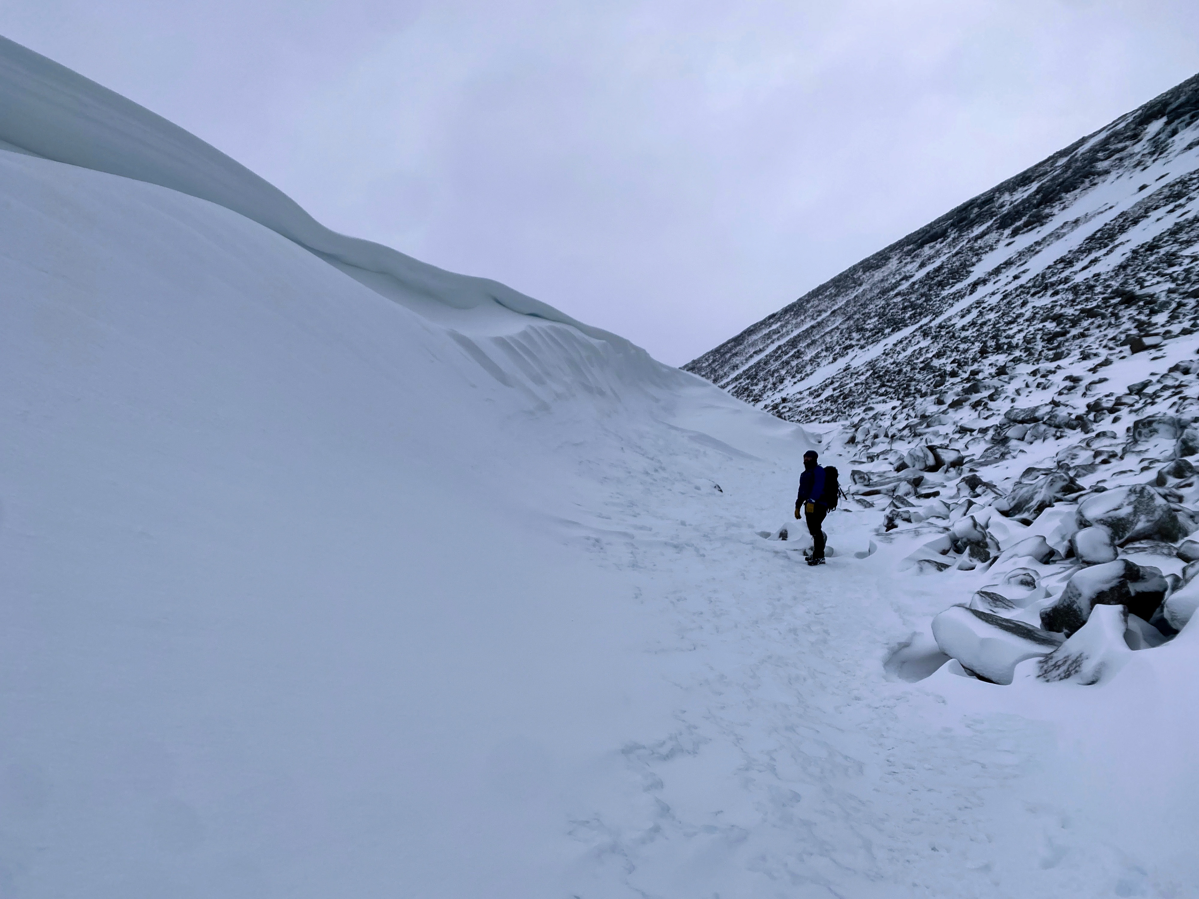 Cairngorms, Scotland, UK, 2023
