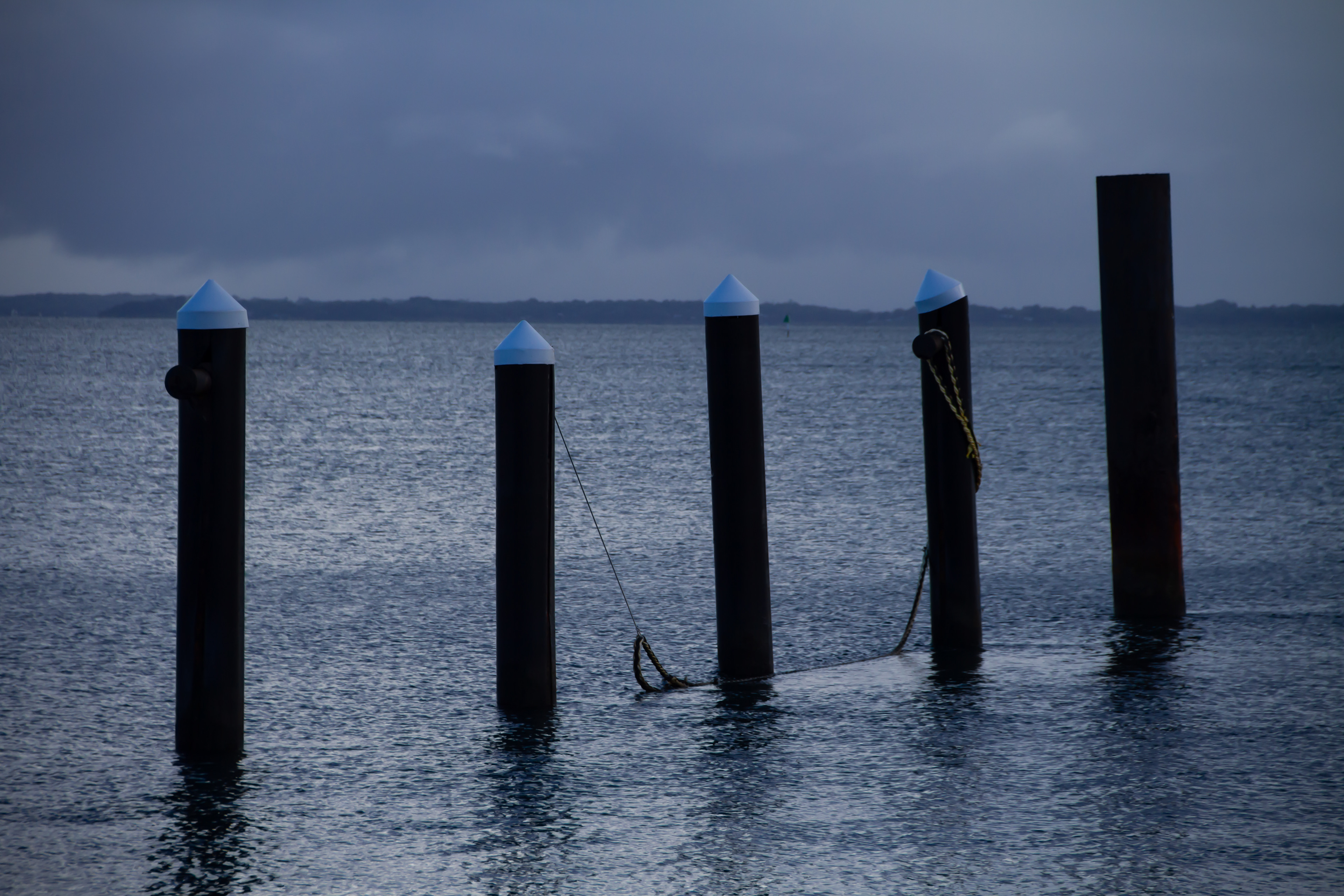 Stradbroke Island, AUS, 2024