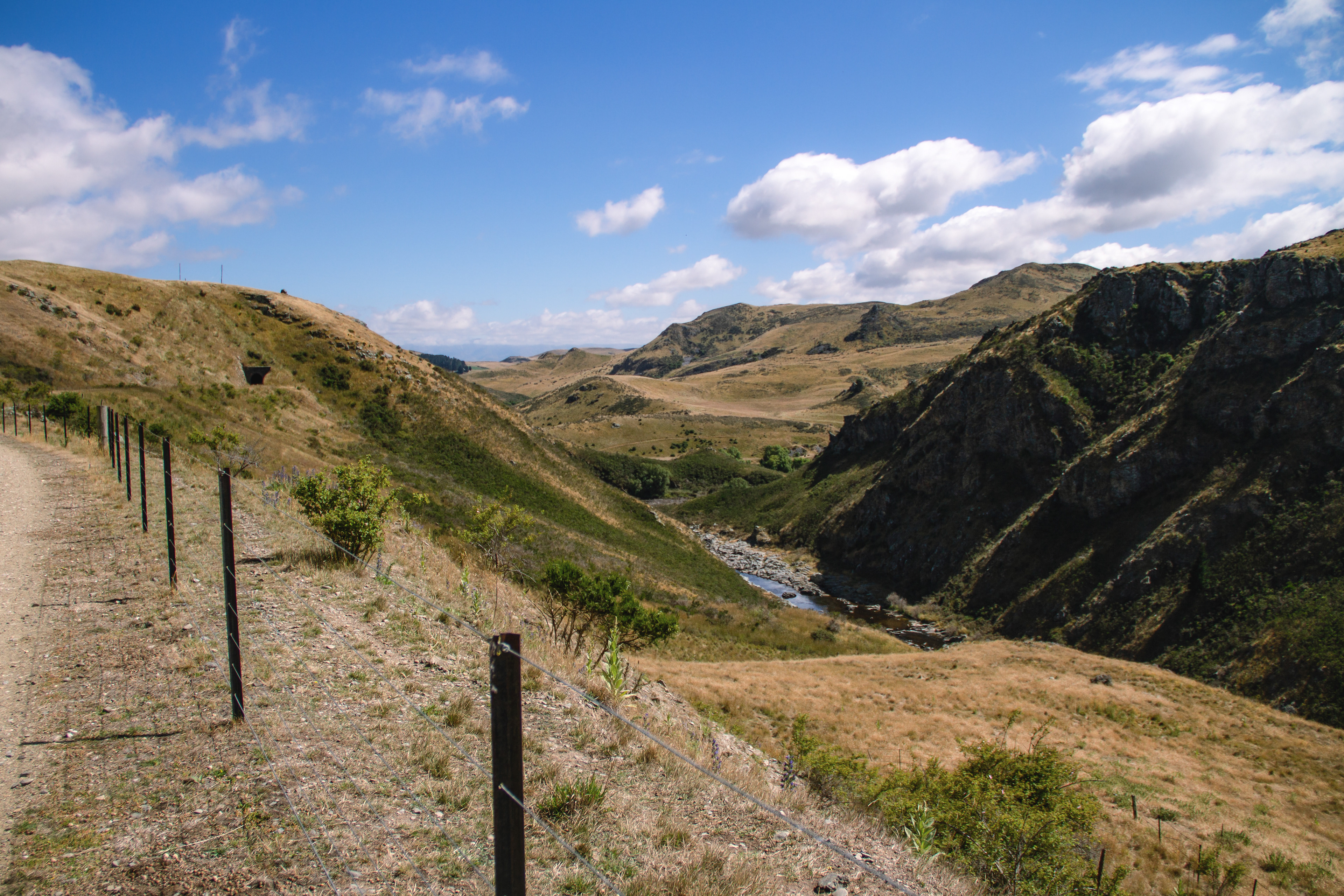 Central Otago, NZ, 2024