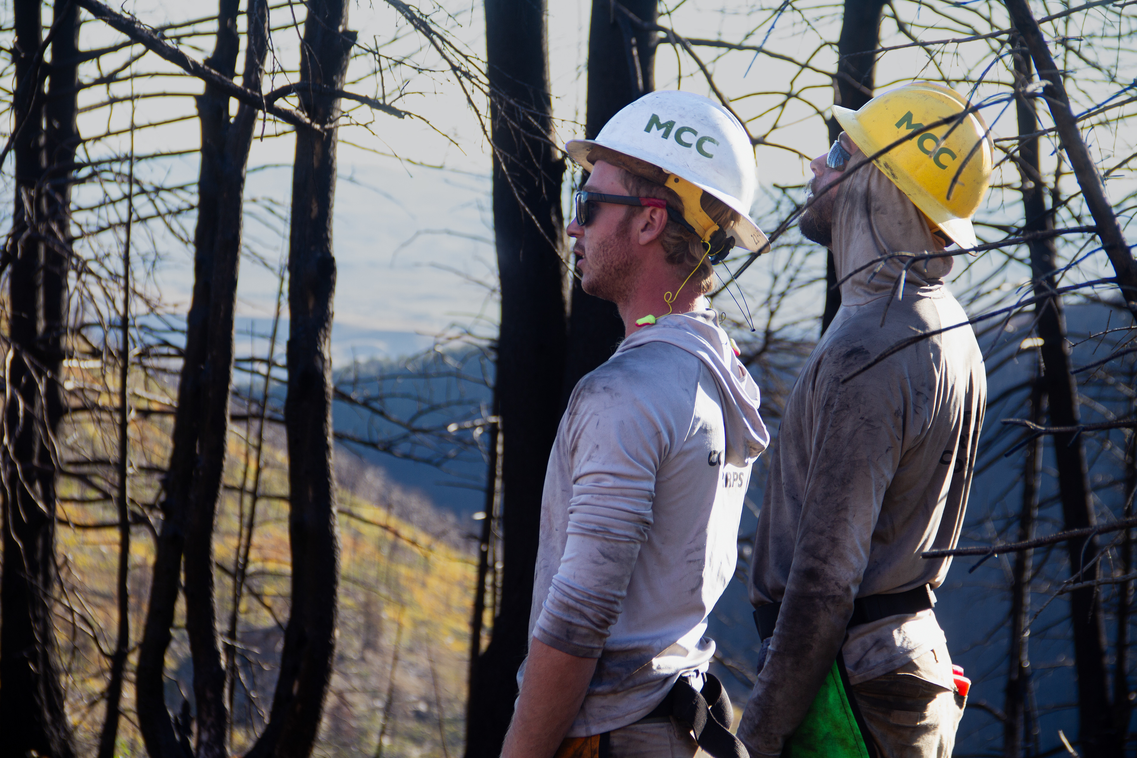 Bighorns, WY, USA, 2025