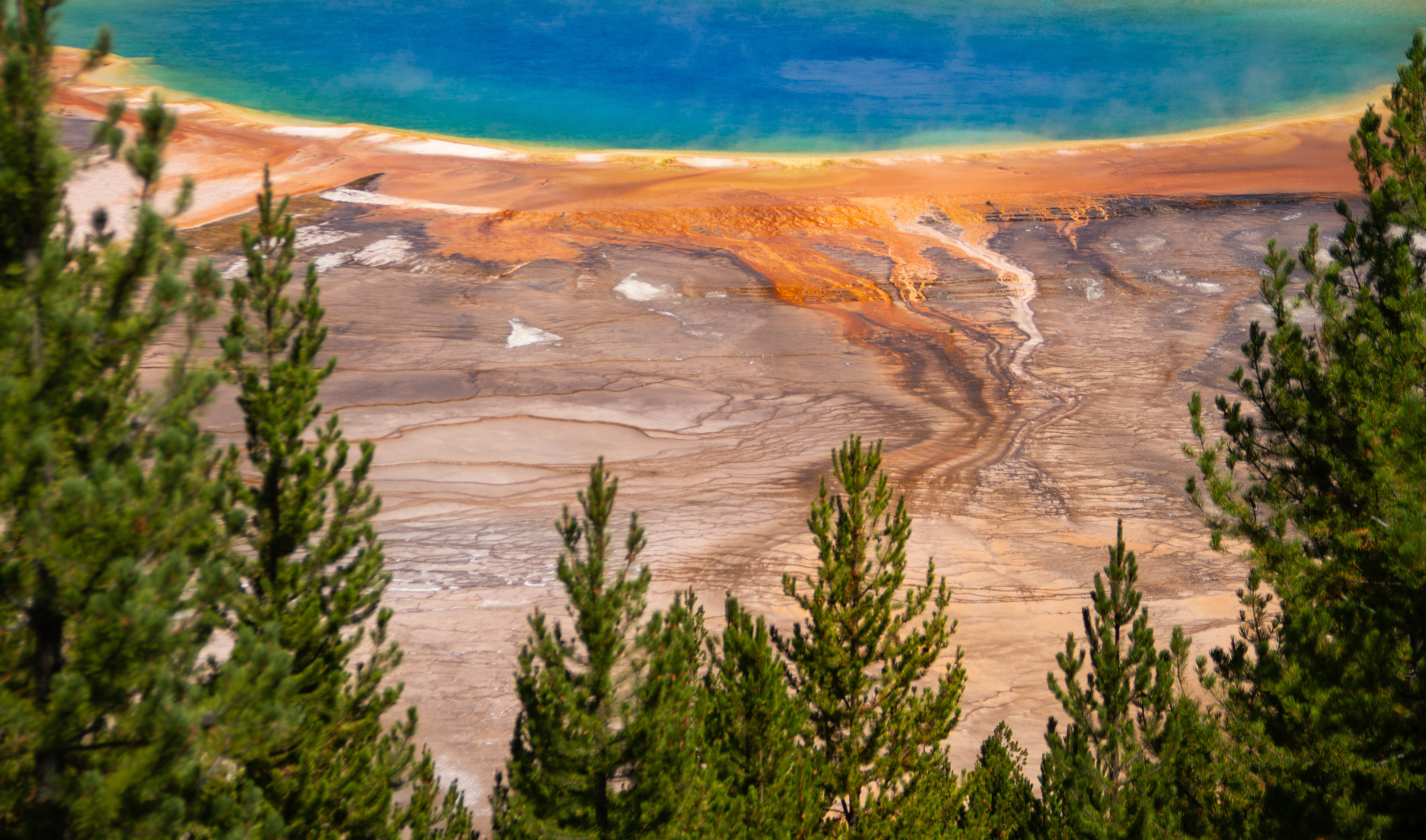 Yellowstone National Park, WY, USA, 2025