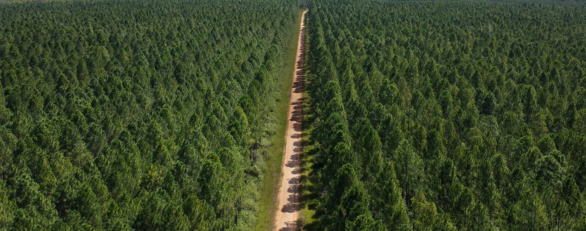 Sunshine Coast, AUS, 2024