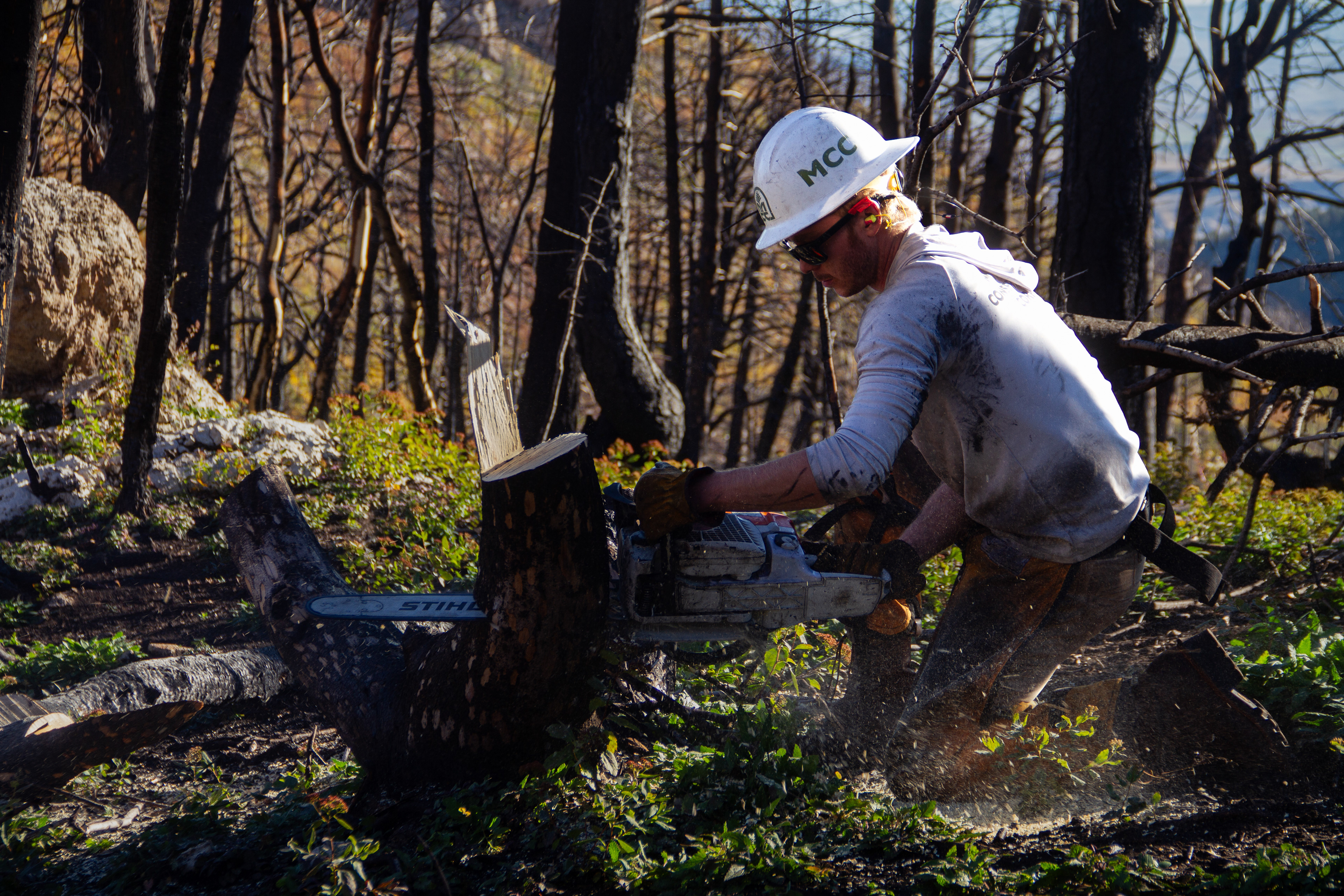 Bighorns, WY, USA, 2025