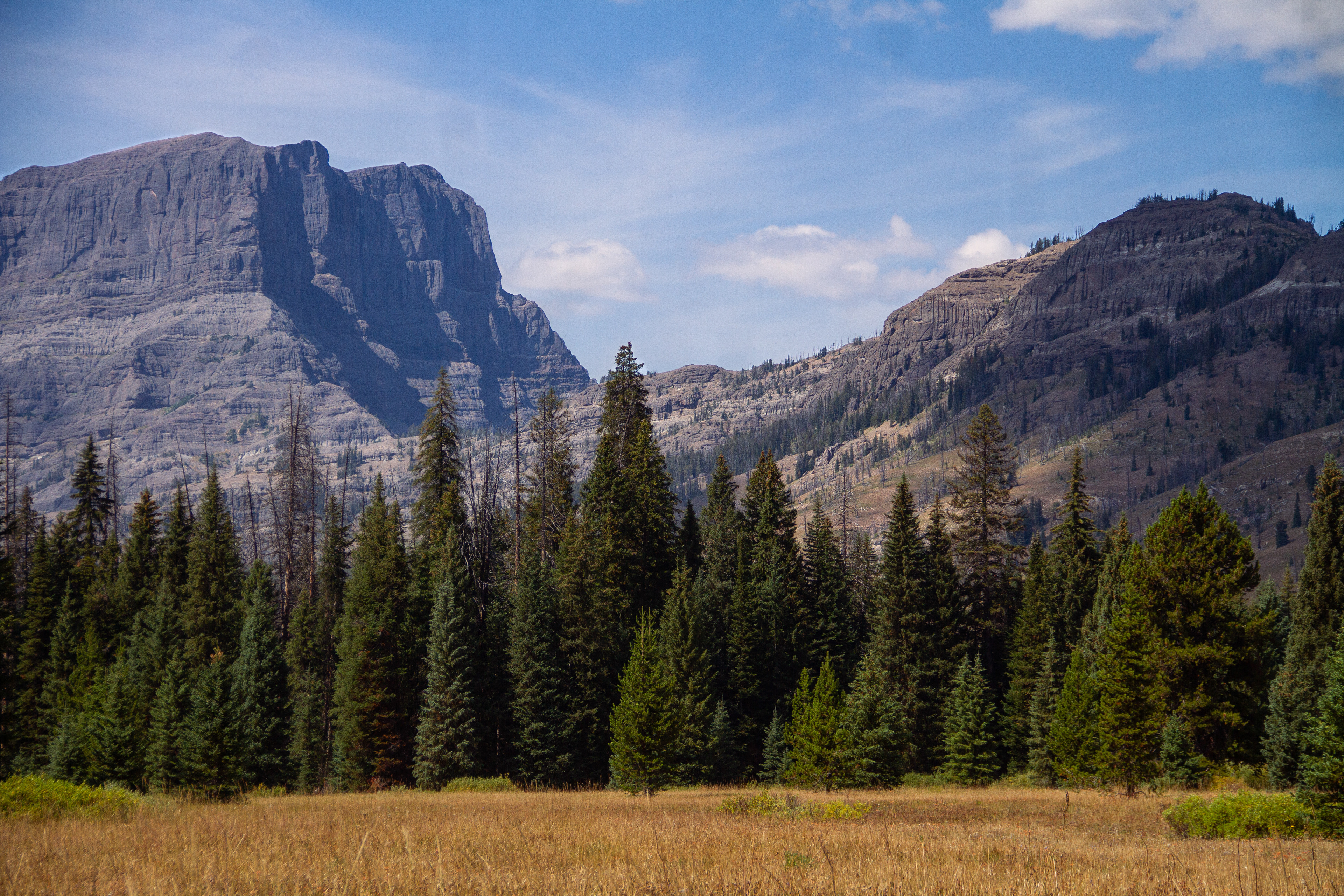 Yellowstone National Park, WY, USA, 2025