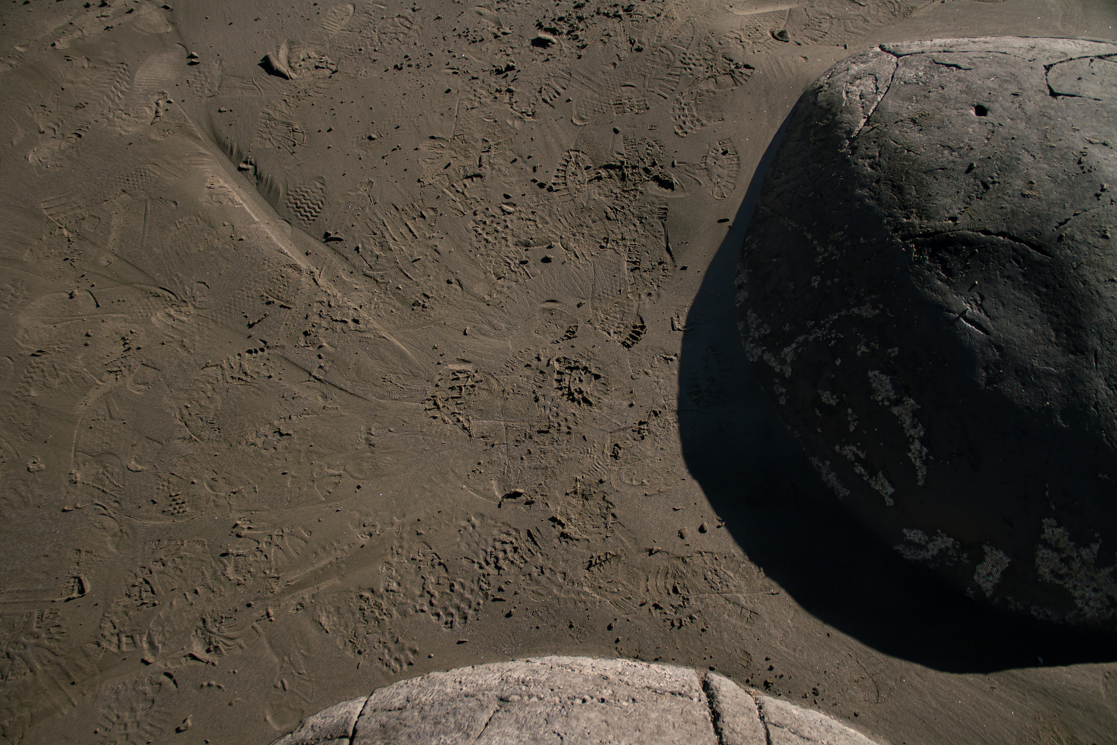 Moeraki Boulders, NZ, 2024