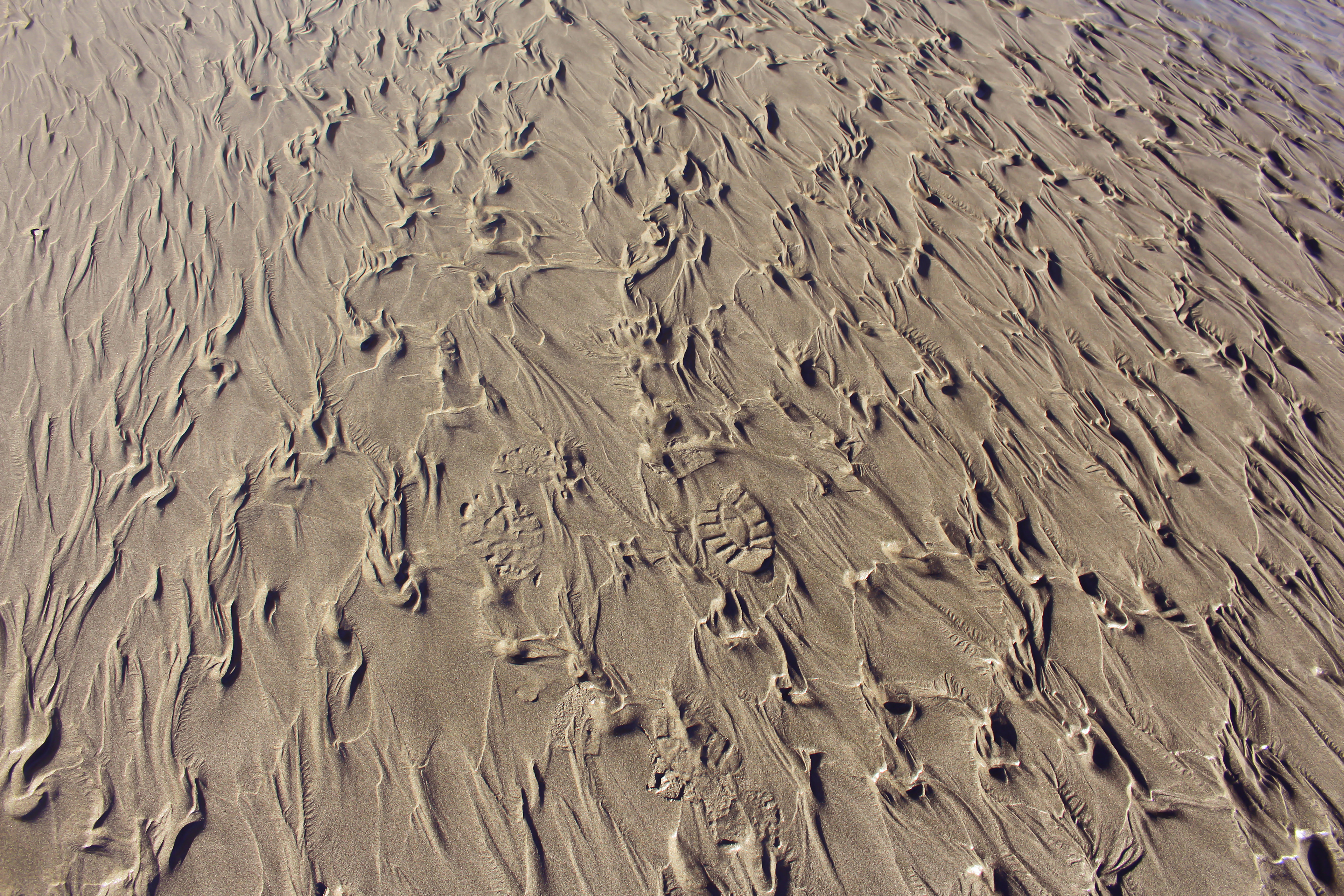 Ruby Beach, WA, USA, 2022