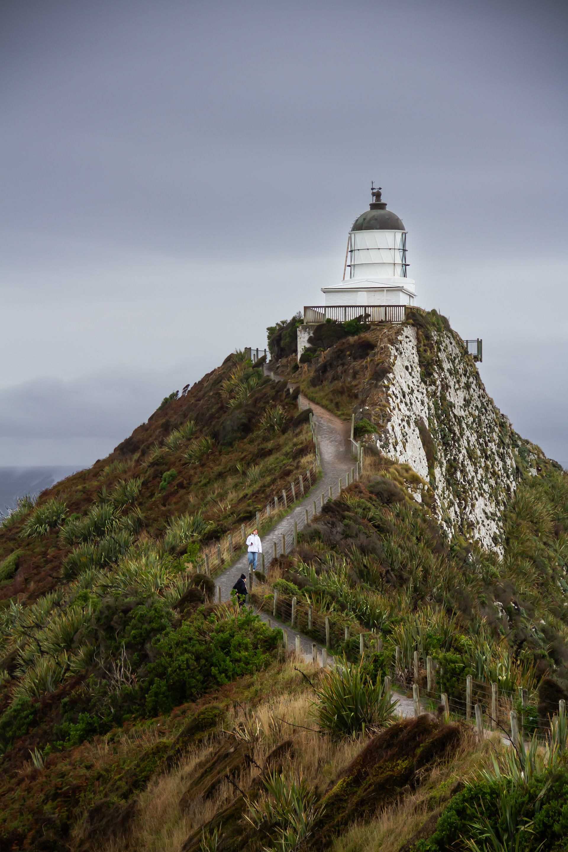 Nugget Point, NZ, 2024