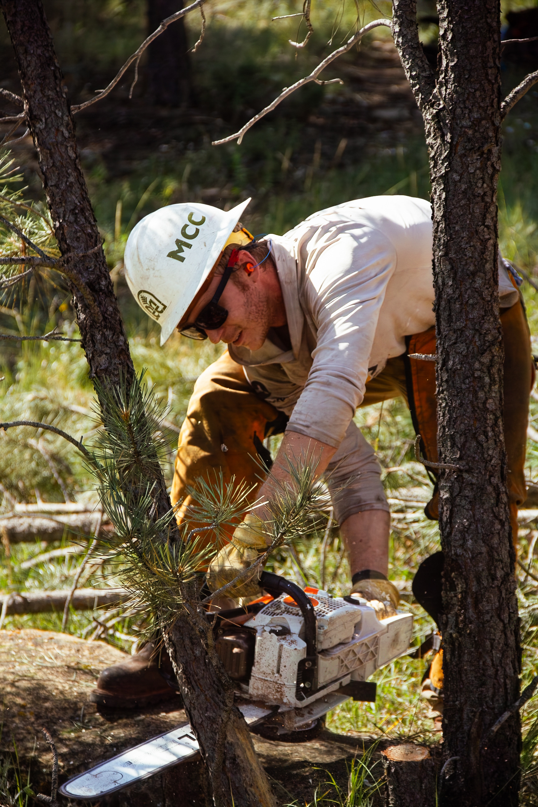 Roundup, MT, USA, 2025
