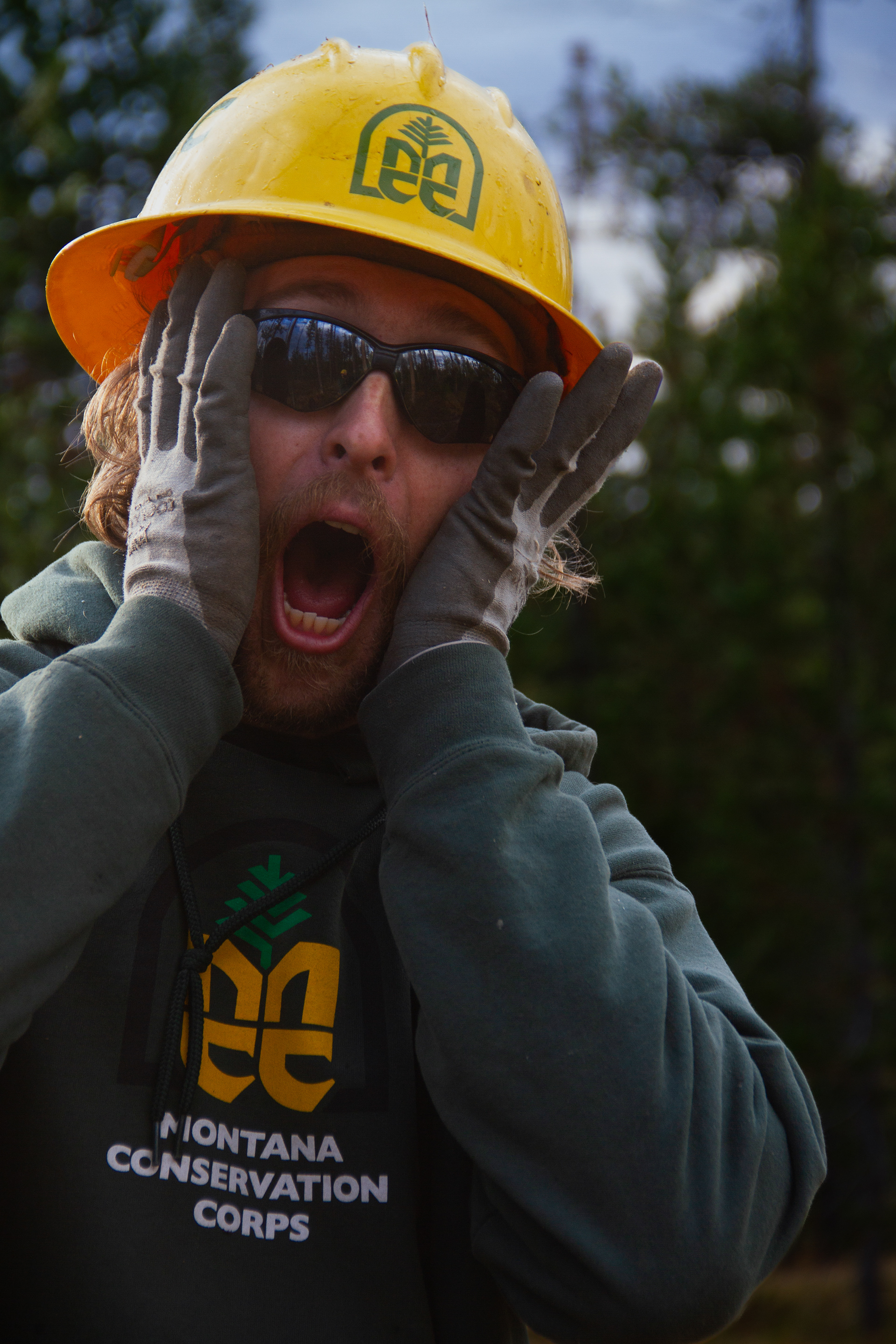 Yellowstone National Park, WY, USA, 2025