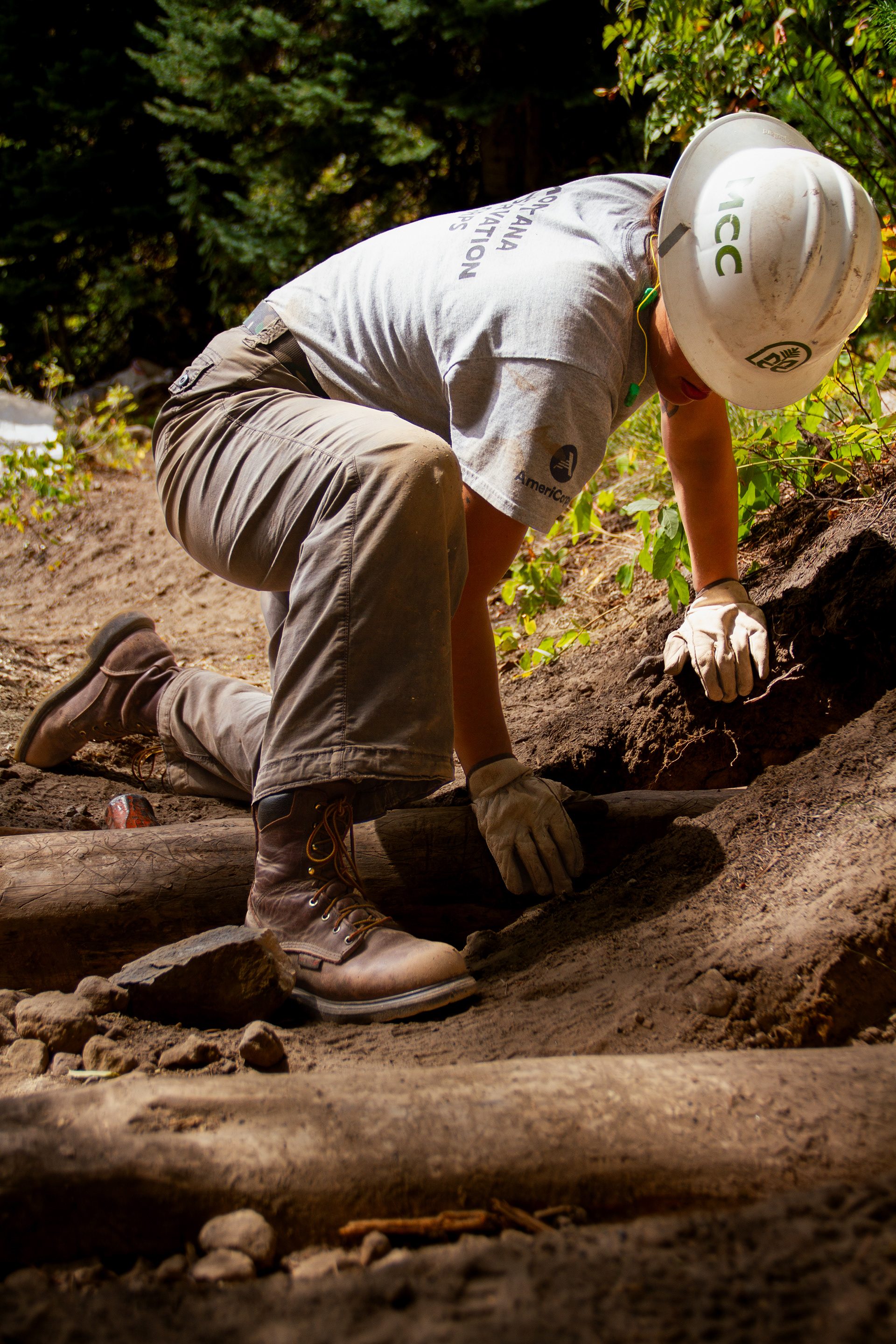 Yellowstone National Park, WY, USA, 2025