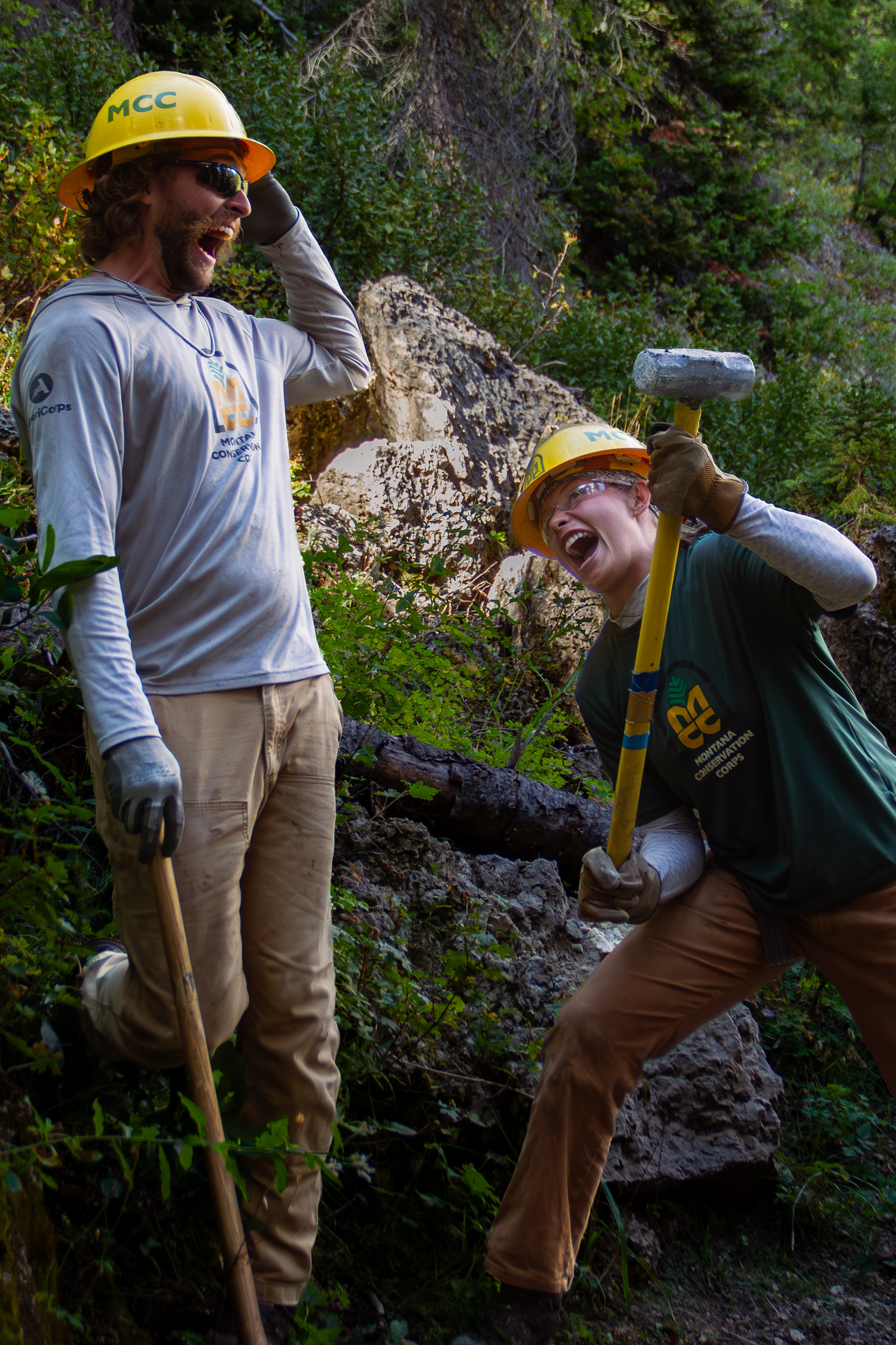 Yellowstone National Park, WY, USA, 2025