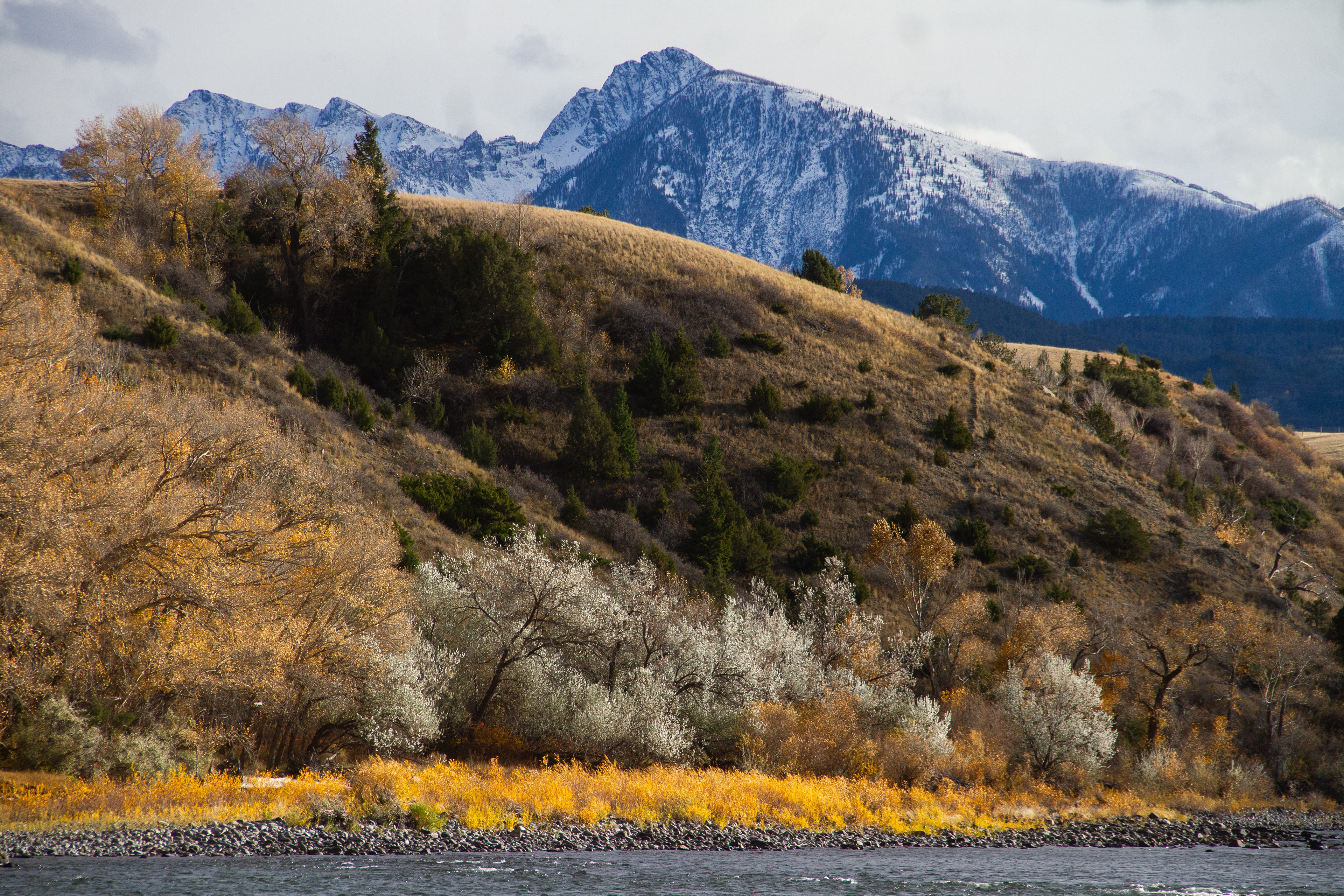 Gallatin National Forest, MT, USA, 2025