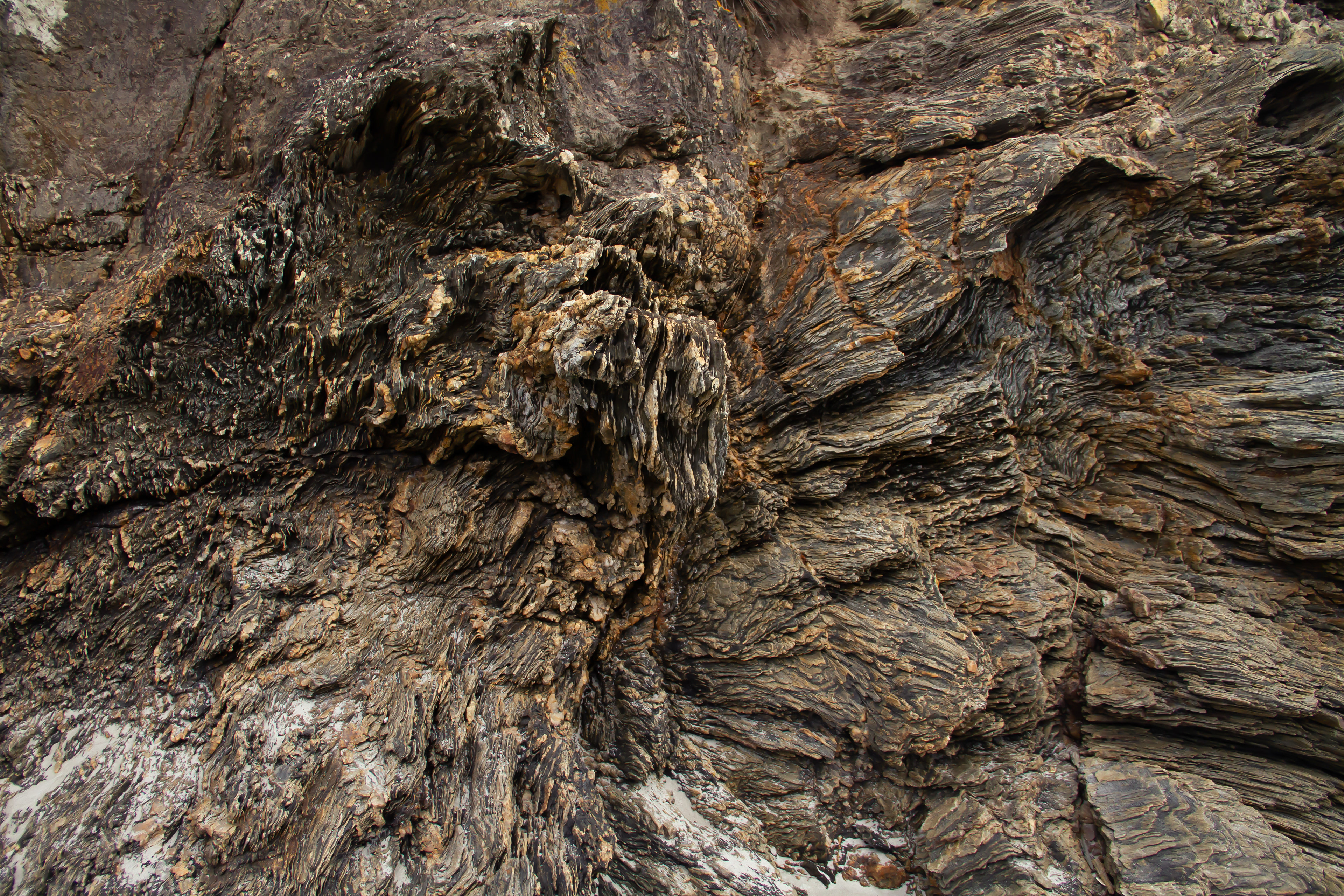 Brighton Beach, Dunedin, NZ, 2024